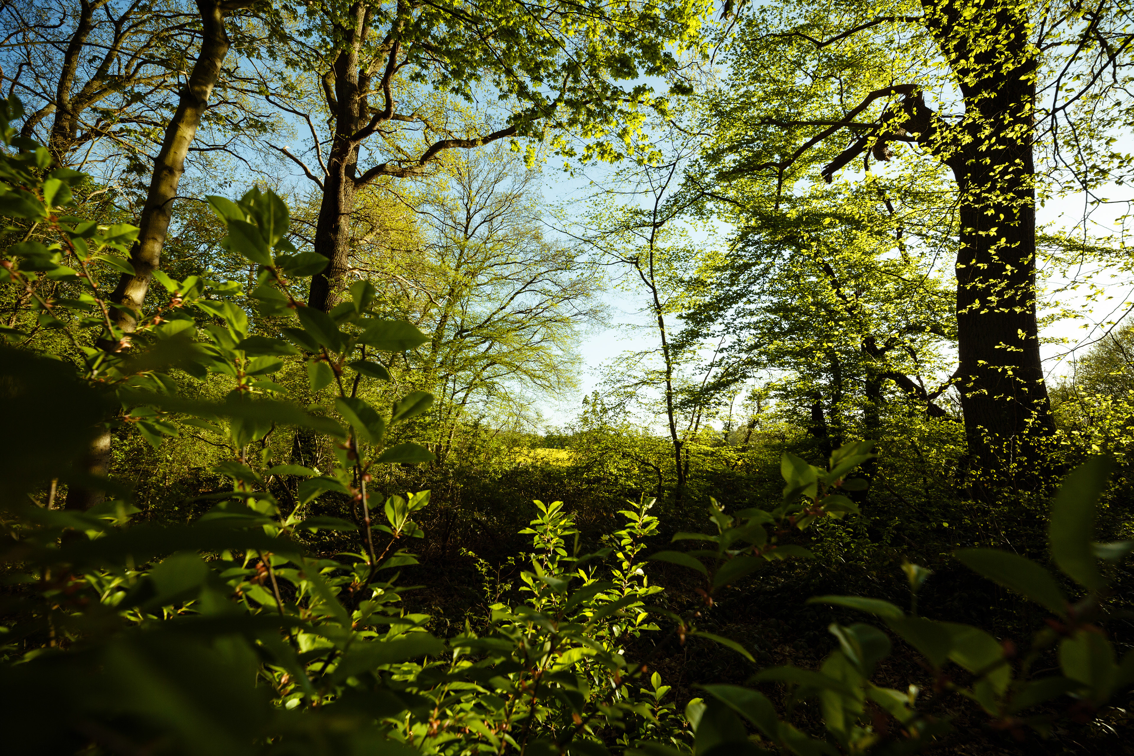 photographer specialized in water and sustainable projects