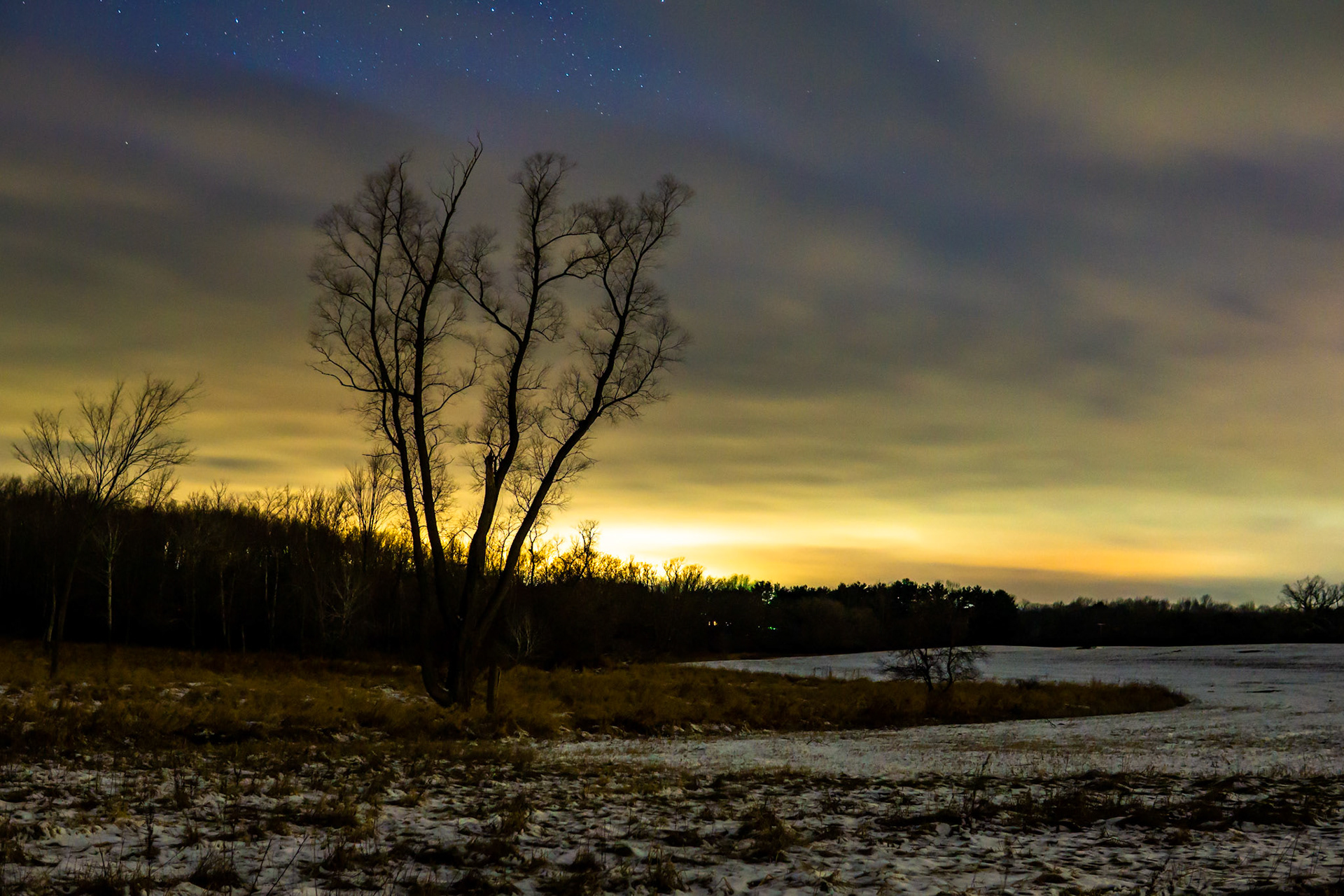 Brauer Nature Preserve, Ann Arbor, MI