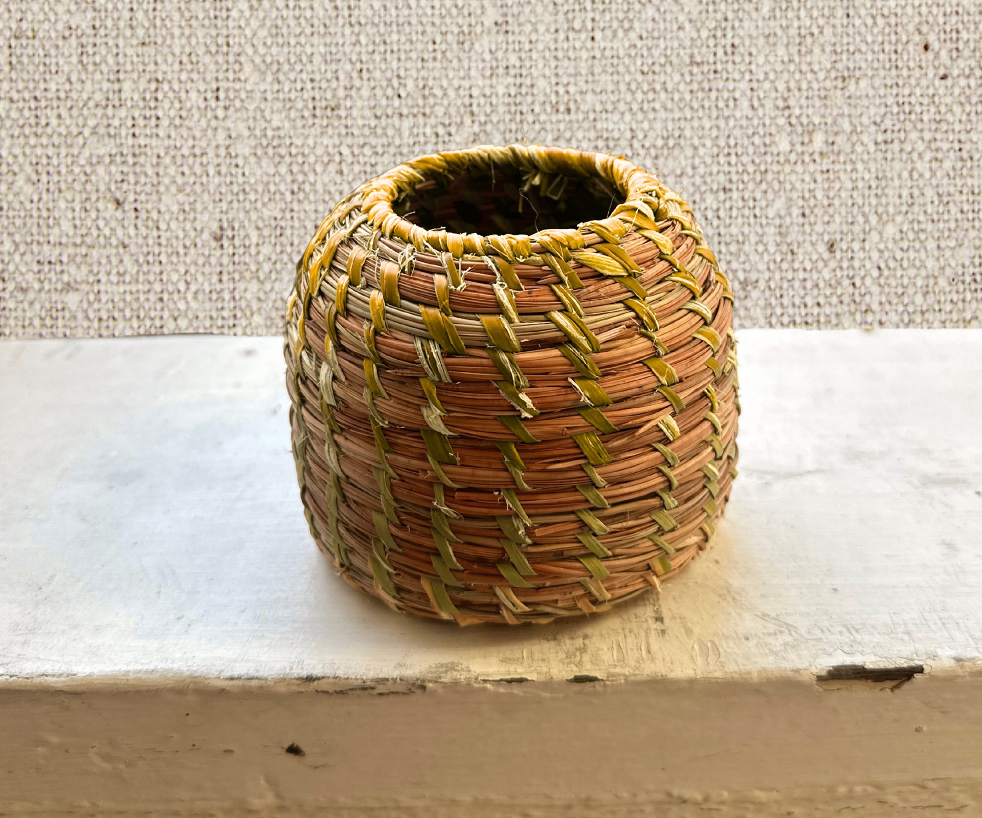 Knobcone pine and cattail