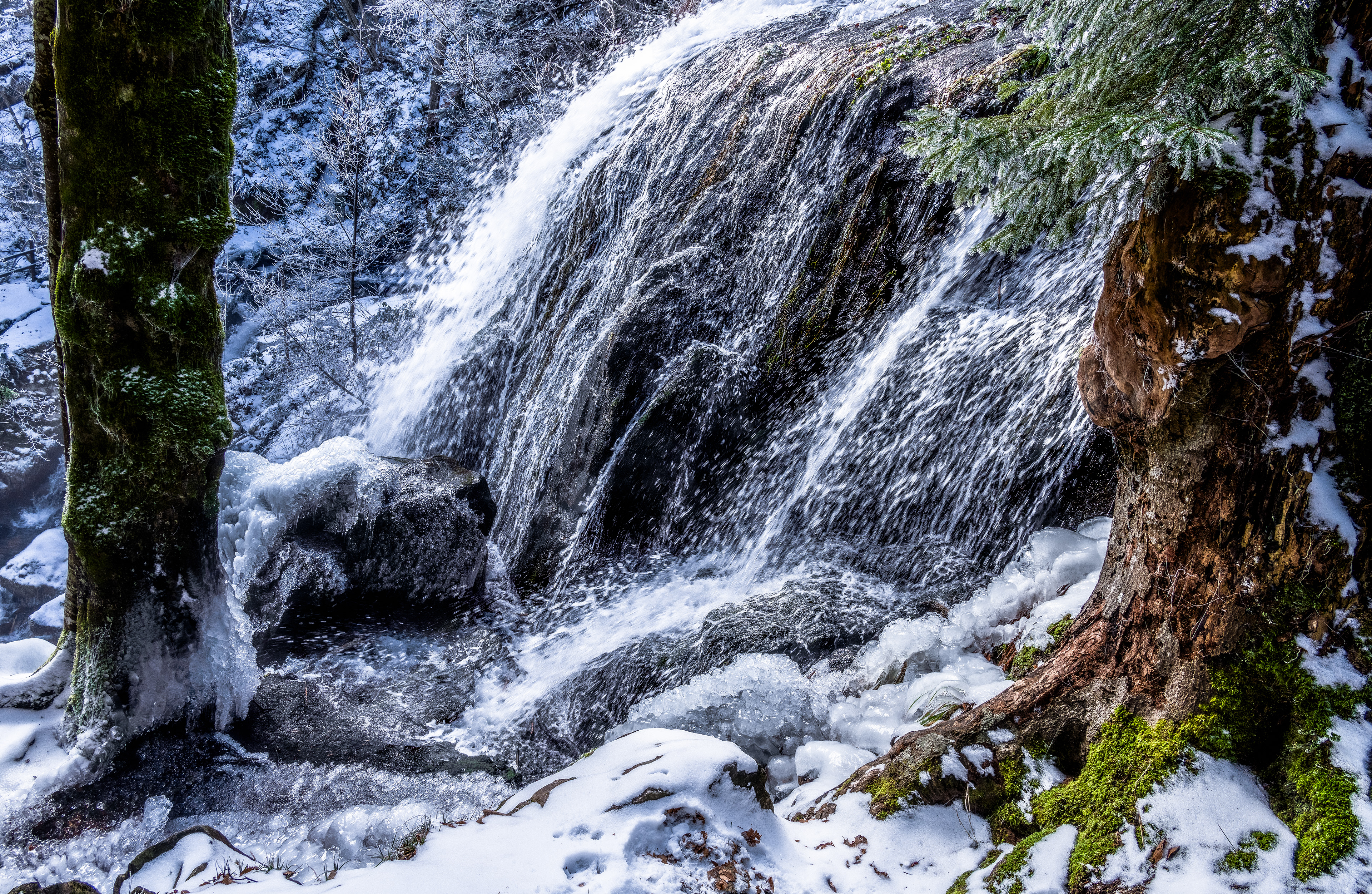 Vereister Wasserfall, Vogesen (F) - 13.01.2024