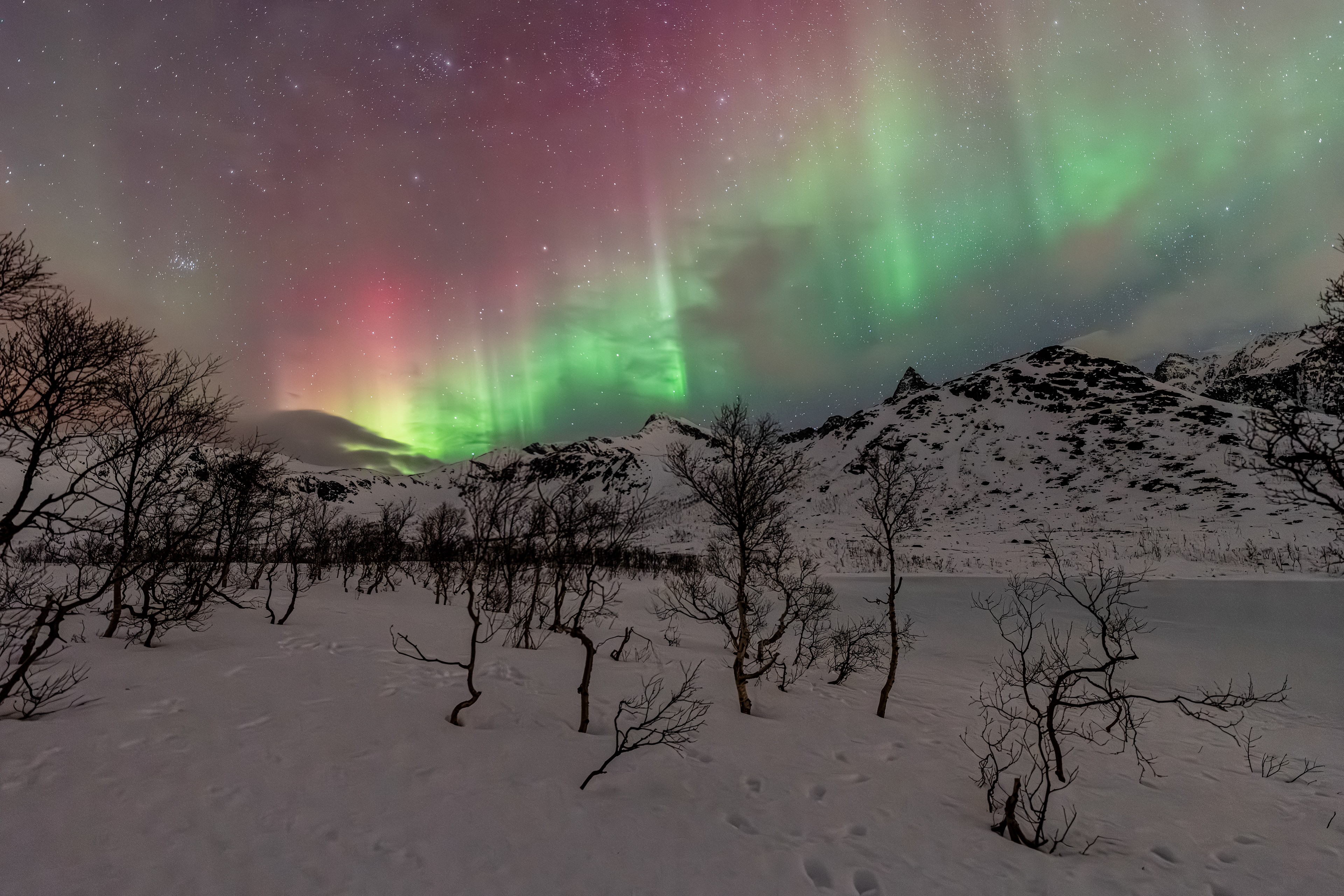 Polarlicht über Norwegen (25.02.2025)