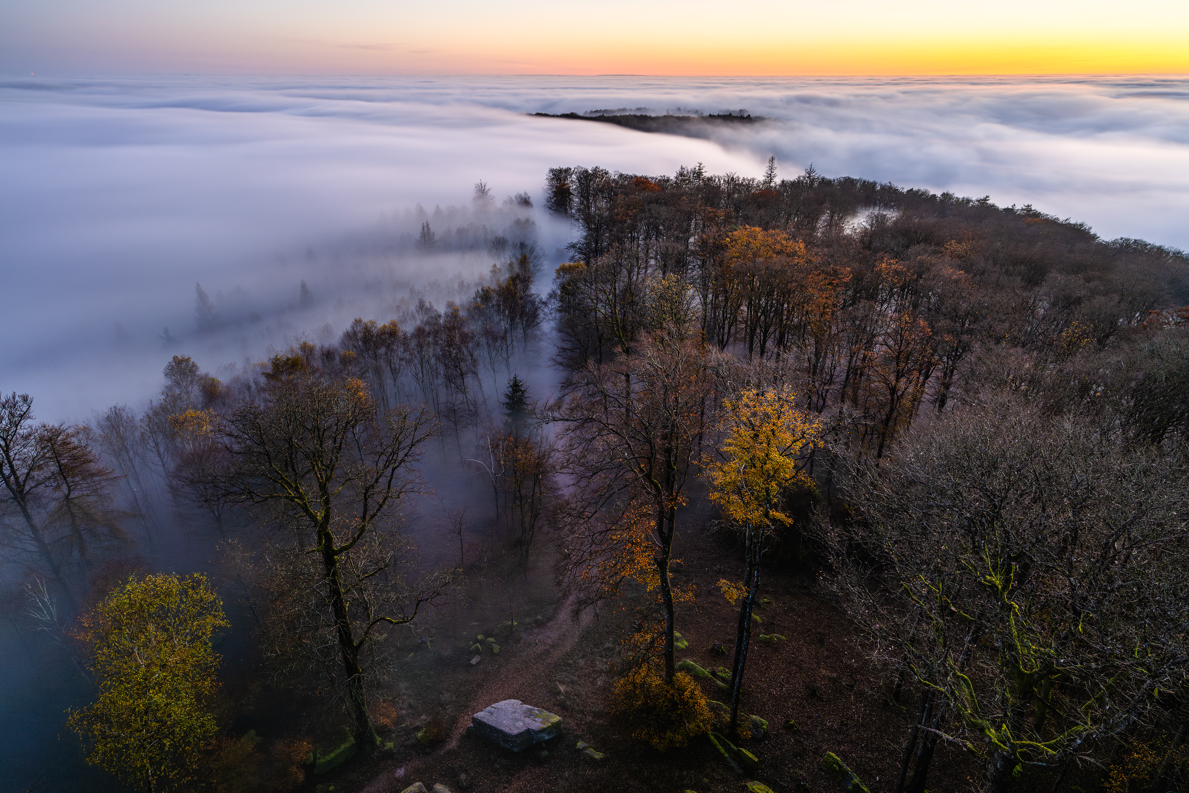 Abenddämmerung über dem Pfälzerwald (D) - 10.11.2024