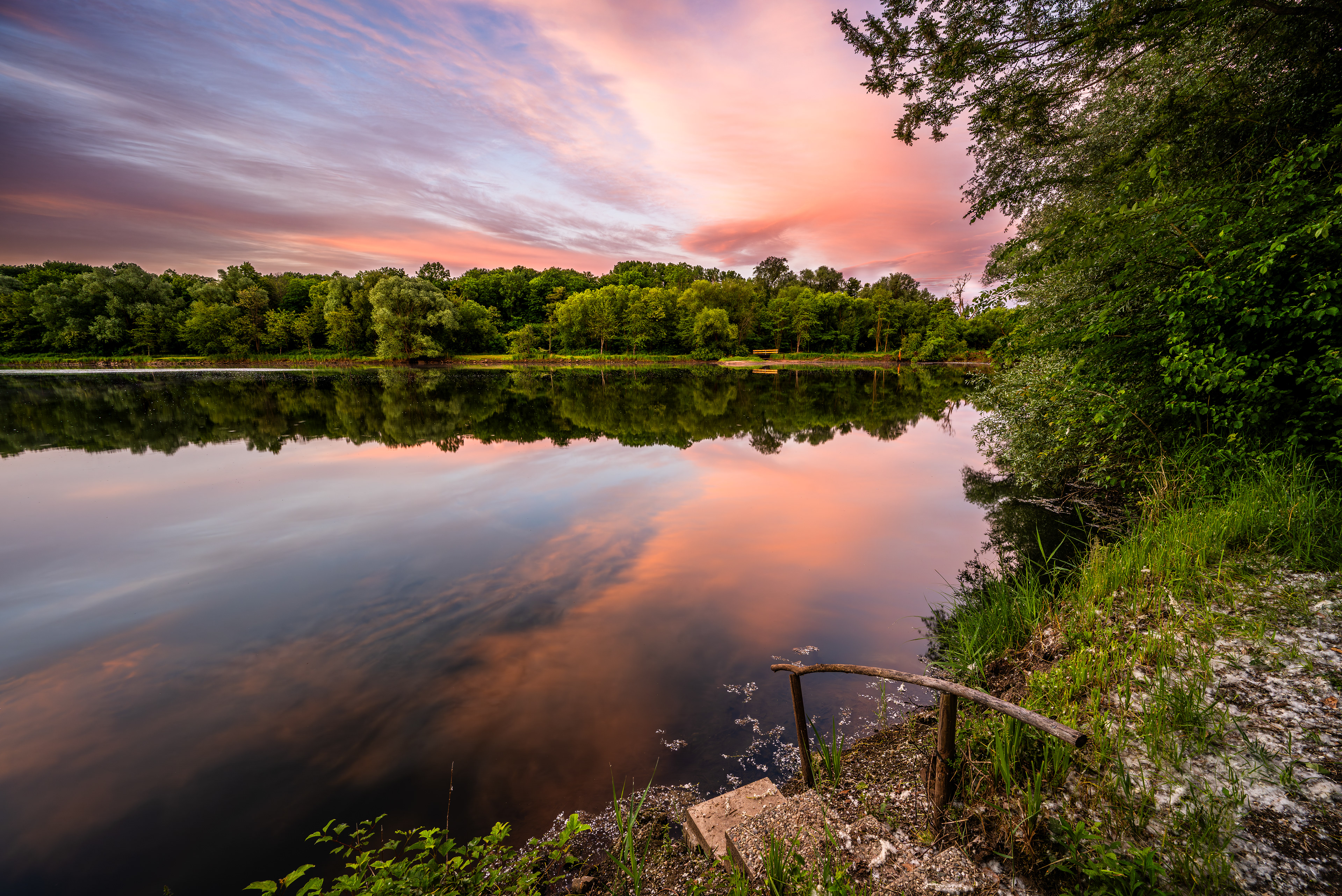Spiegelnder Weyher, RLP (D) - 27.05.2025