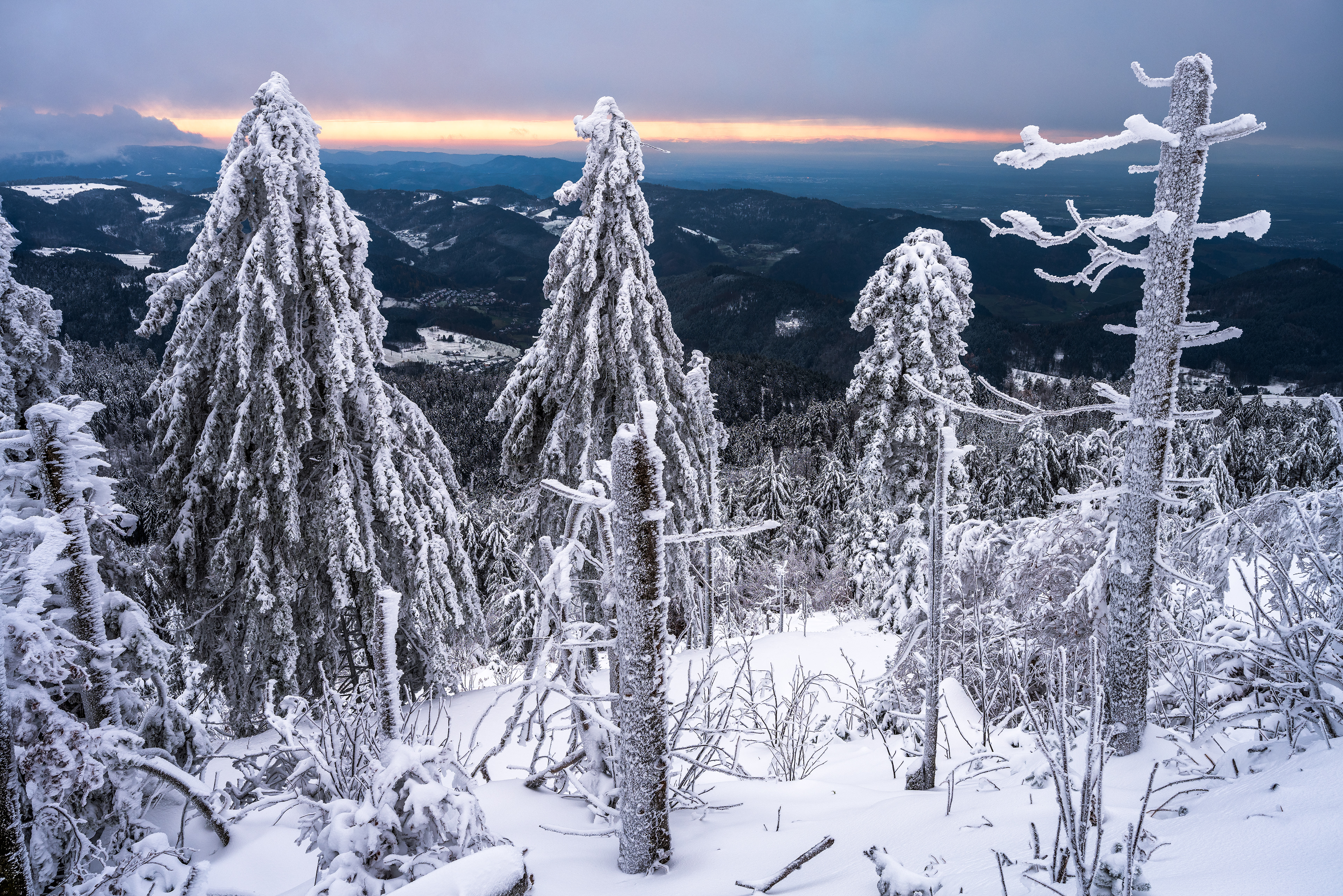 Raueisbesatz auf der Hornisgrinde, Schwarzwald (D) - 29.11.2023