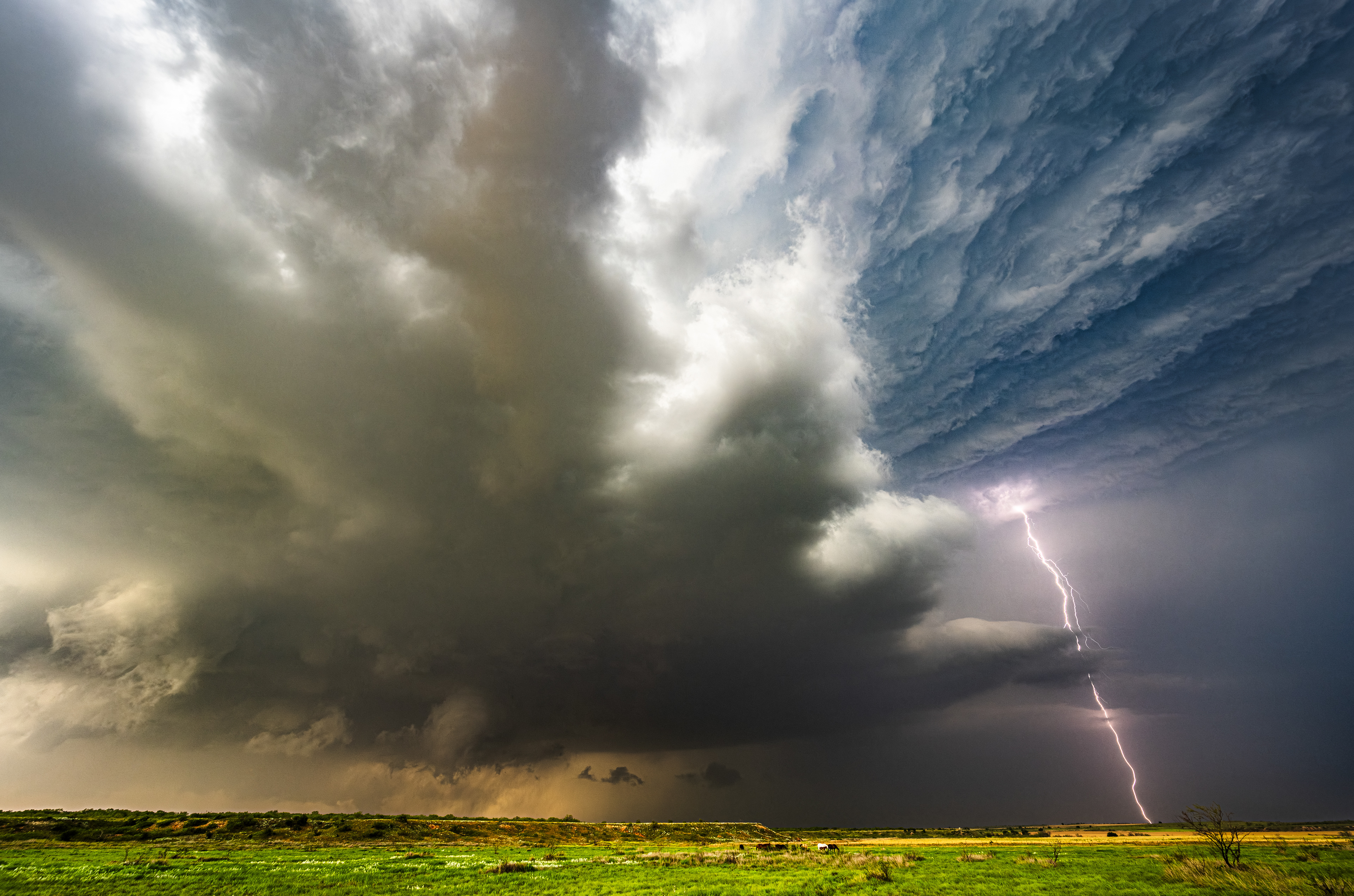 Erdblitz einer aufziehenden Superzelle, Hollis, Oklahoma - 23.05.2024