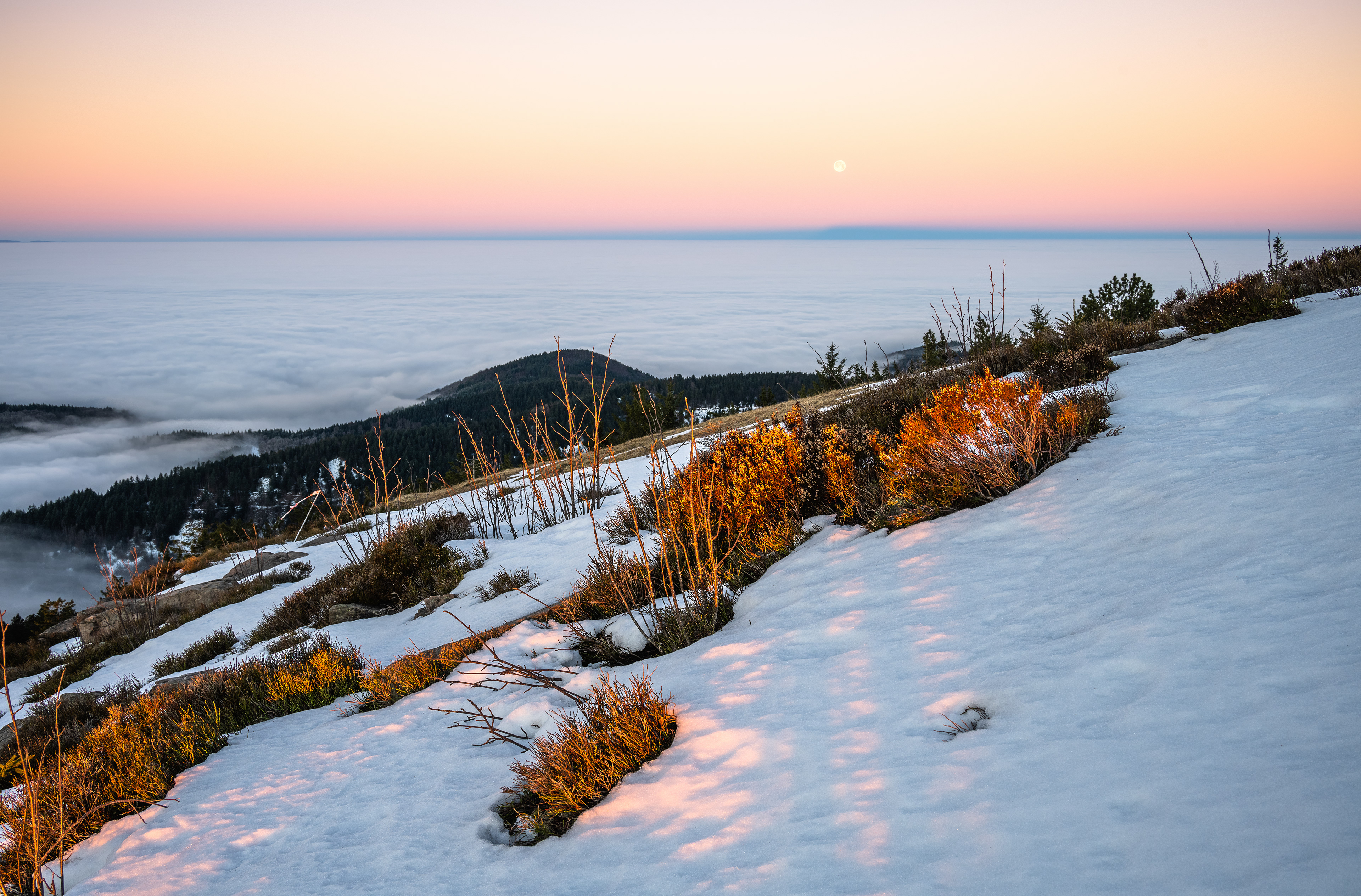 Vollmonduntergang im Morgenlicht, Schwarzwald (D) - 19.12.2021