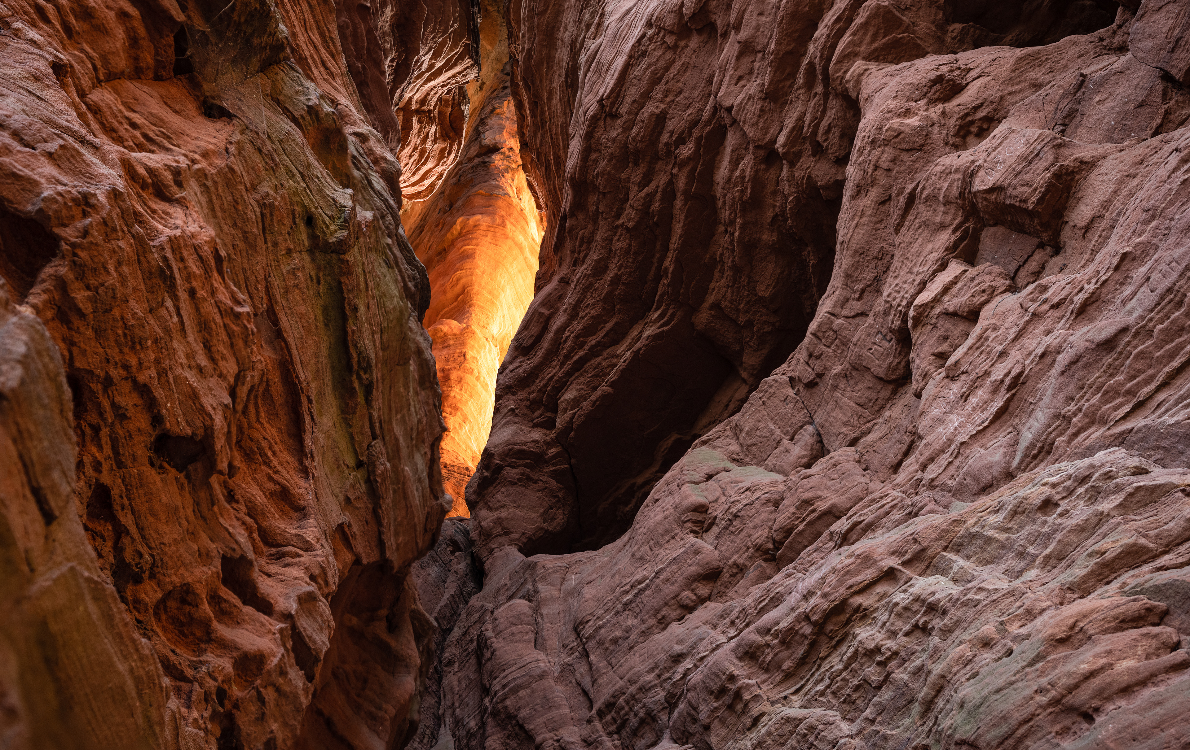 Buntsandstein im Abendlicht, Pfälzerwald (D) - 16.04.2022