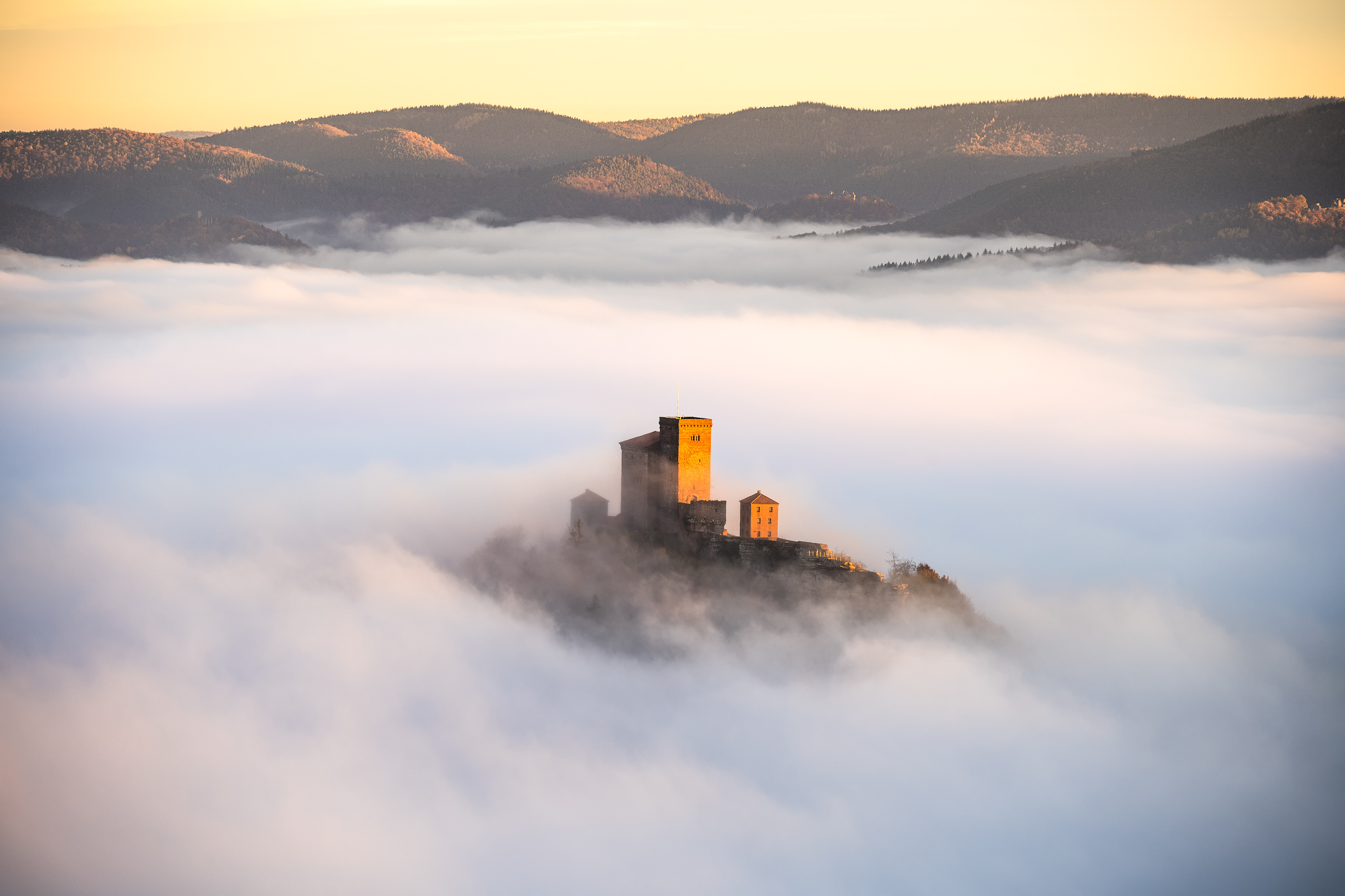 Burg Trifels im Morgenlicht, Pfälzerwald (D) - 27.11.2022