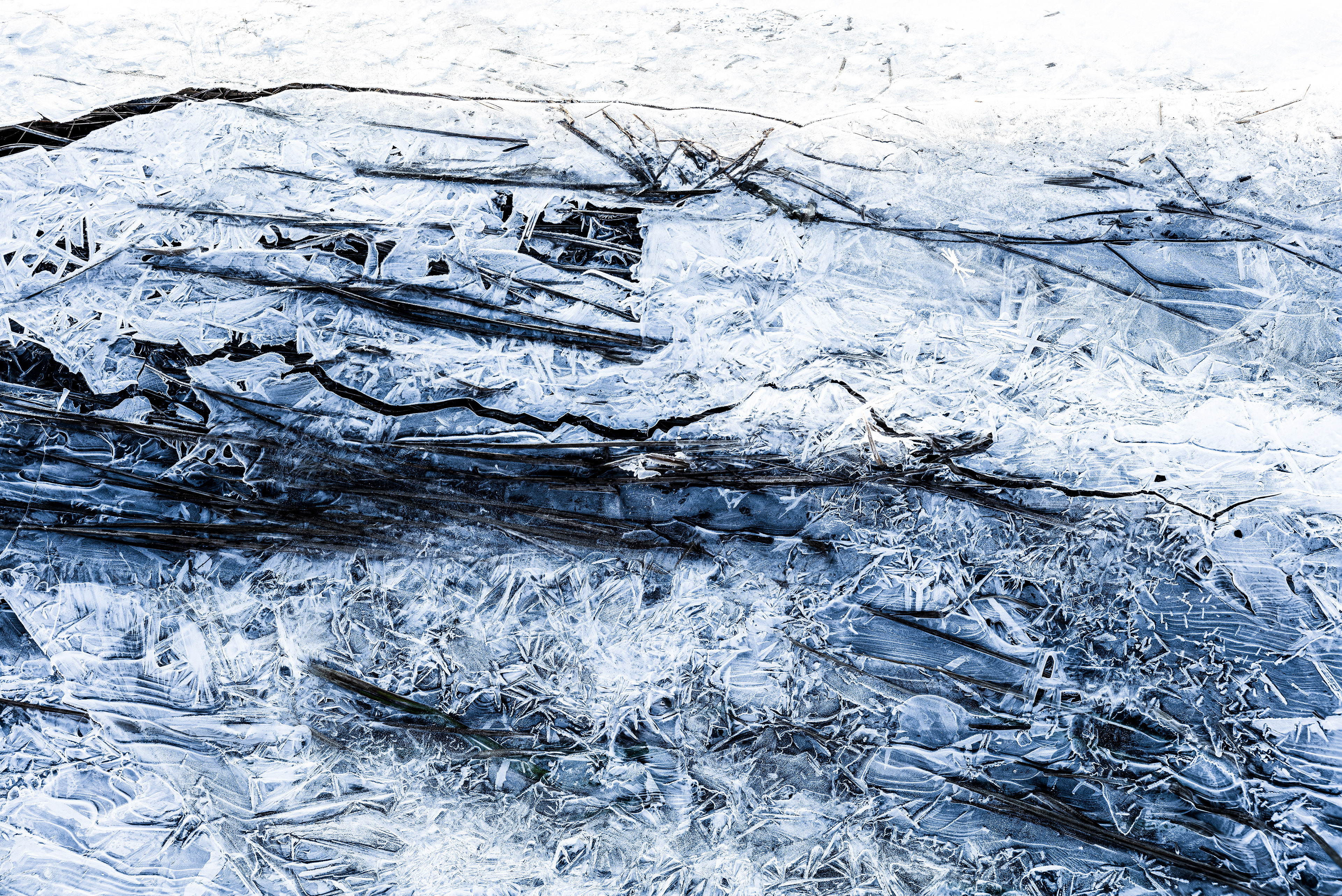 Eis- und Reifbesatz Feld, RLP (D) - 20.01.2024