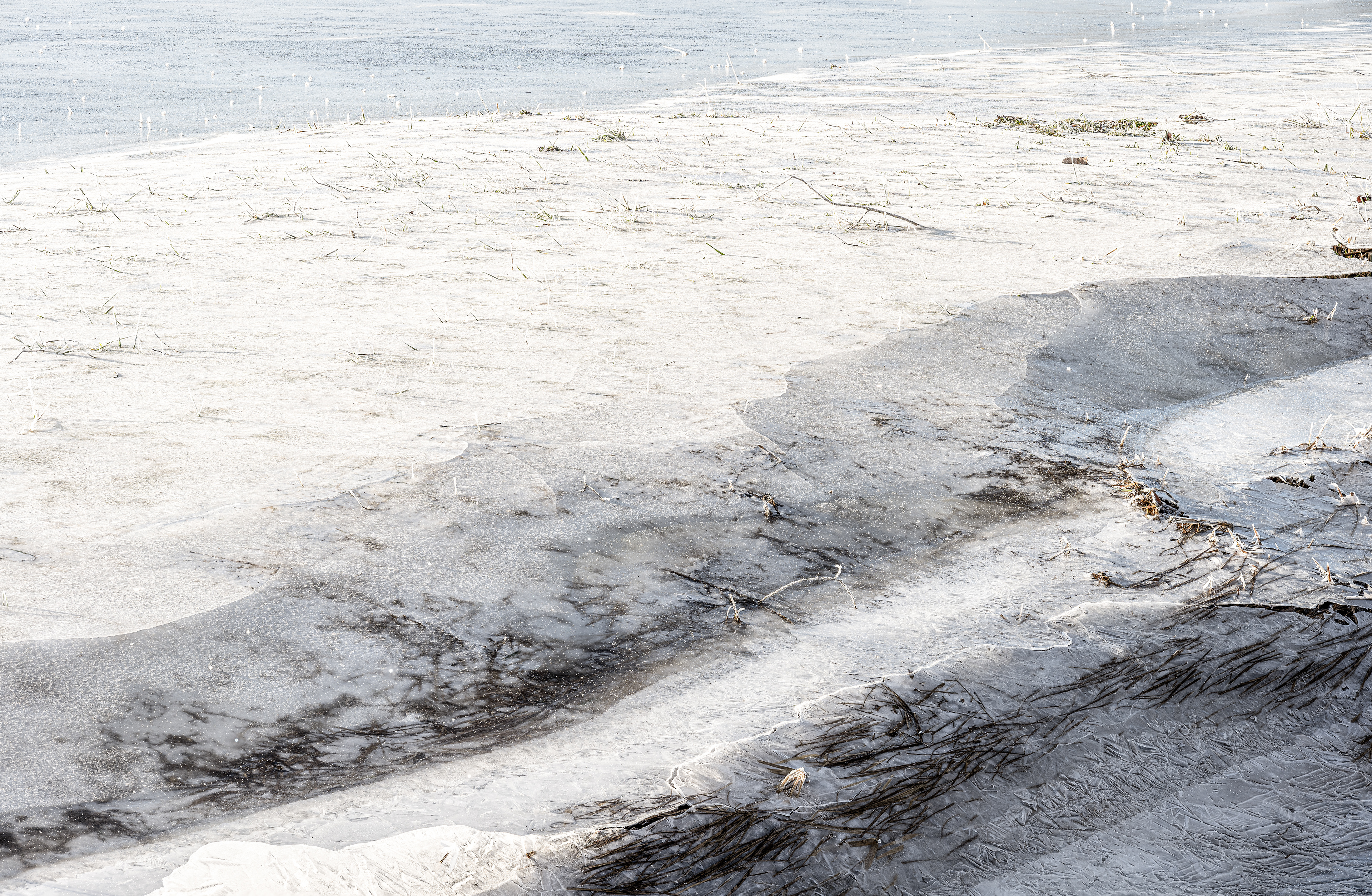 Eis- und Reifbesatz Feld mit Bachlauf, RLP (D) - 20.01.2024