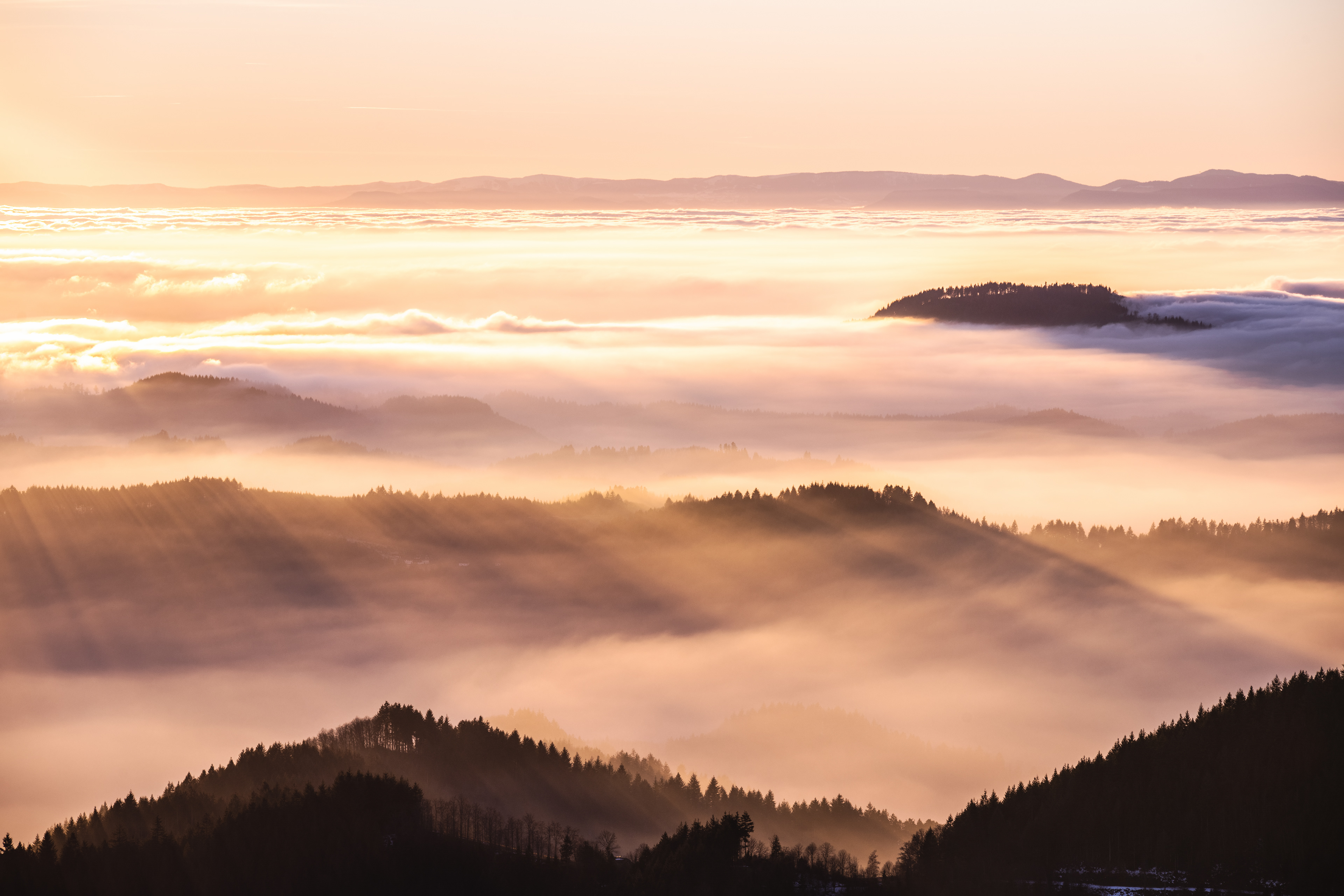 Hochnebel im Abendlicht, Schwarzwald (D) - 18.12.2021