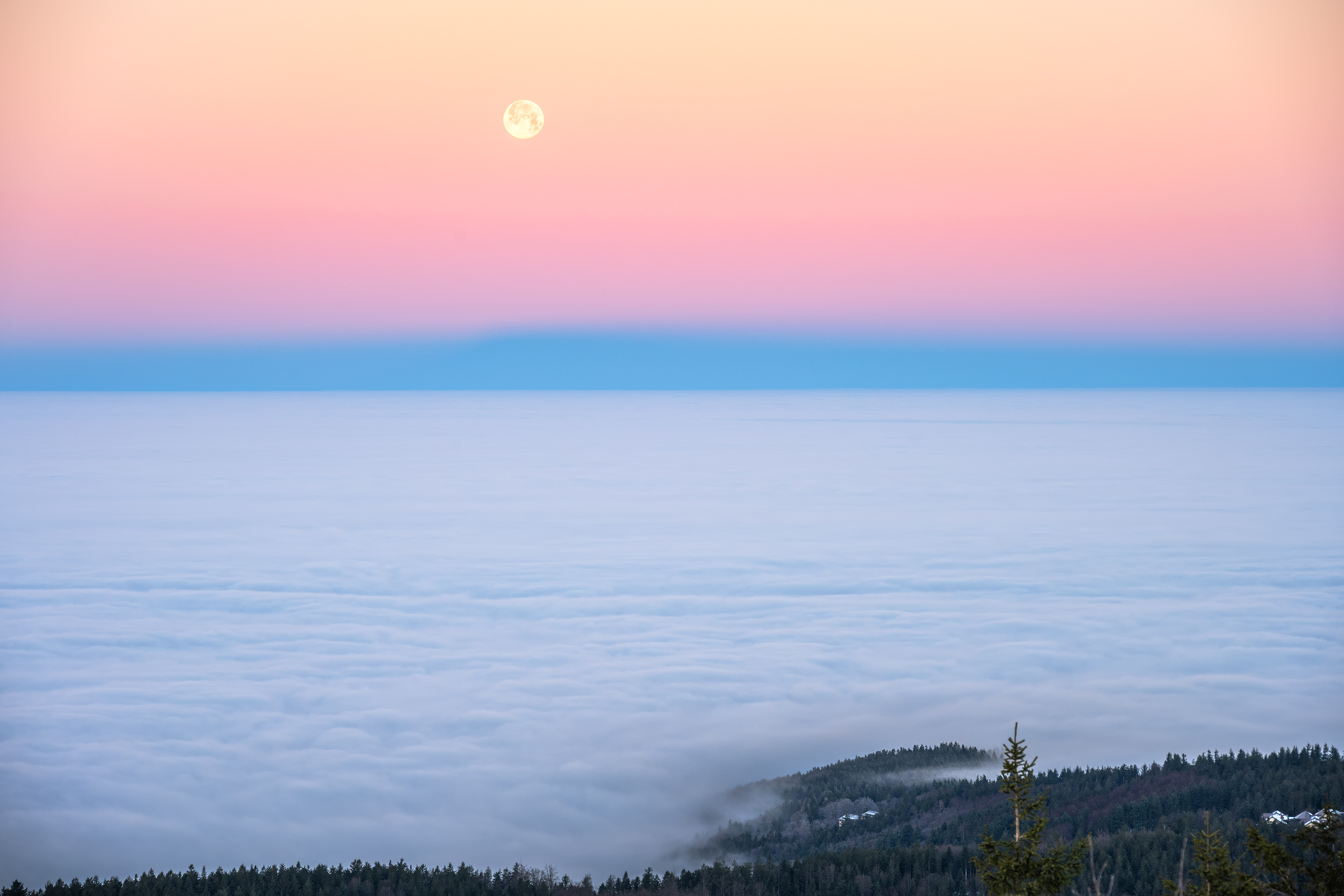 Vollmonduntergang über Nebelmeer, Schwarzwald (D) - 19.12.2021