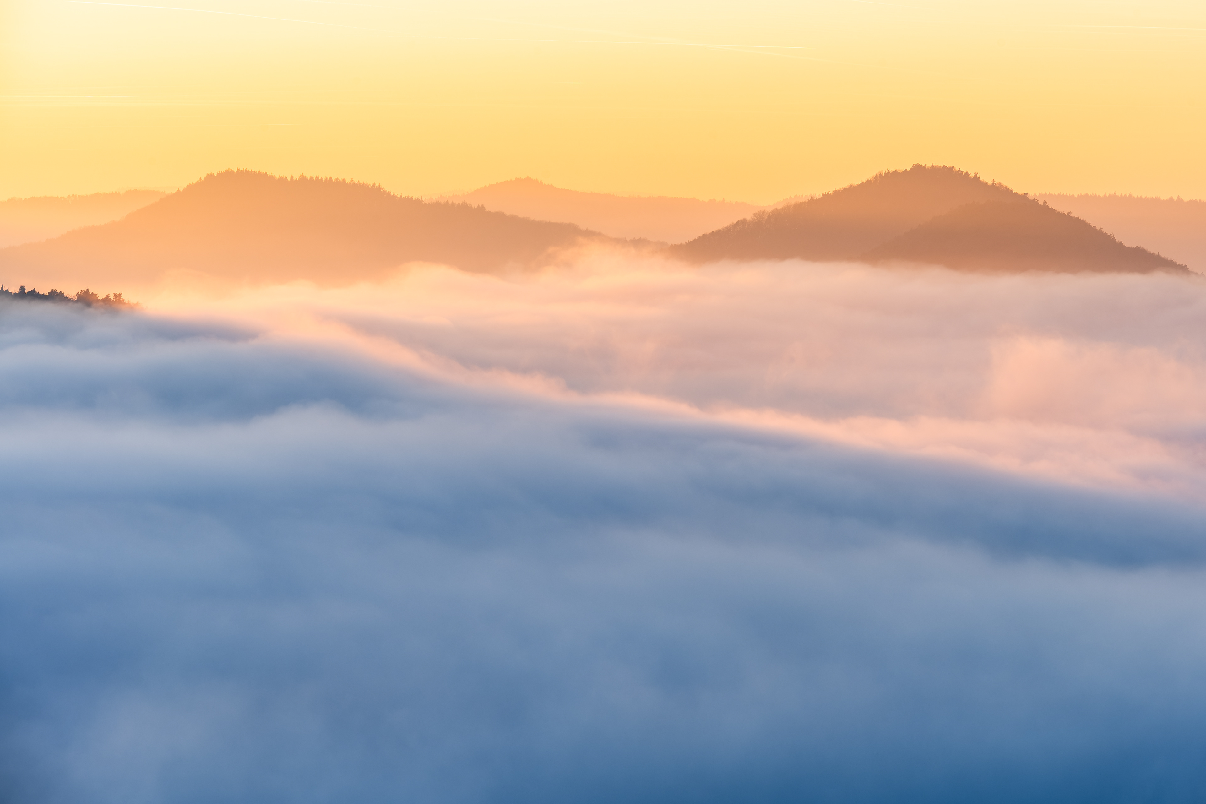 Hochnebel im Felsenland, Pfälzerwald (D) - 28.12.2024