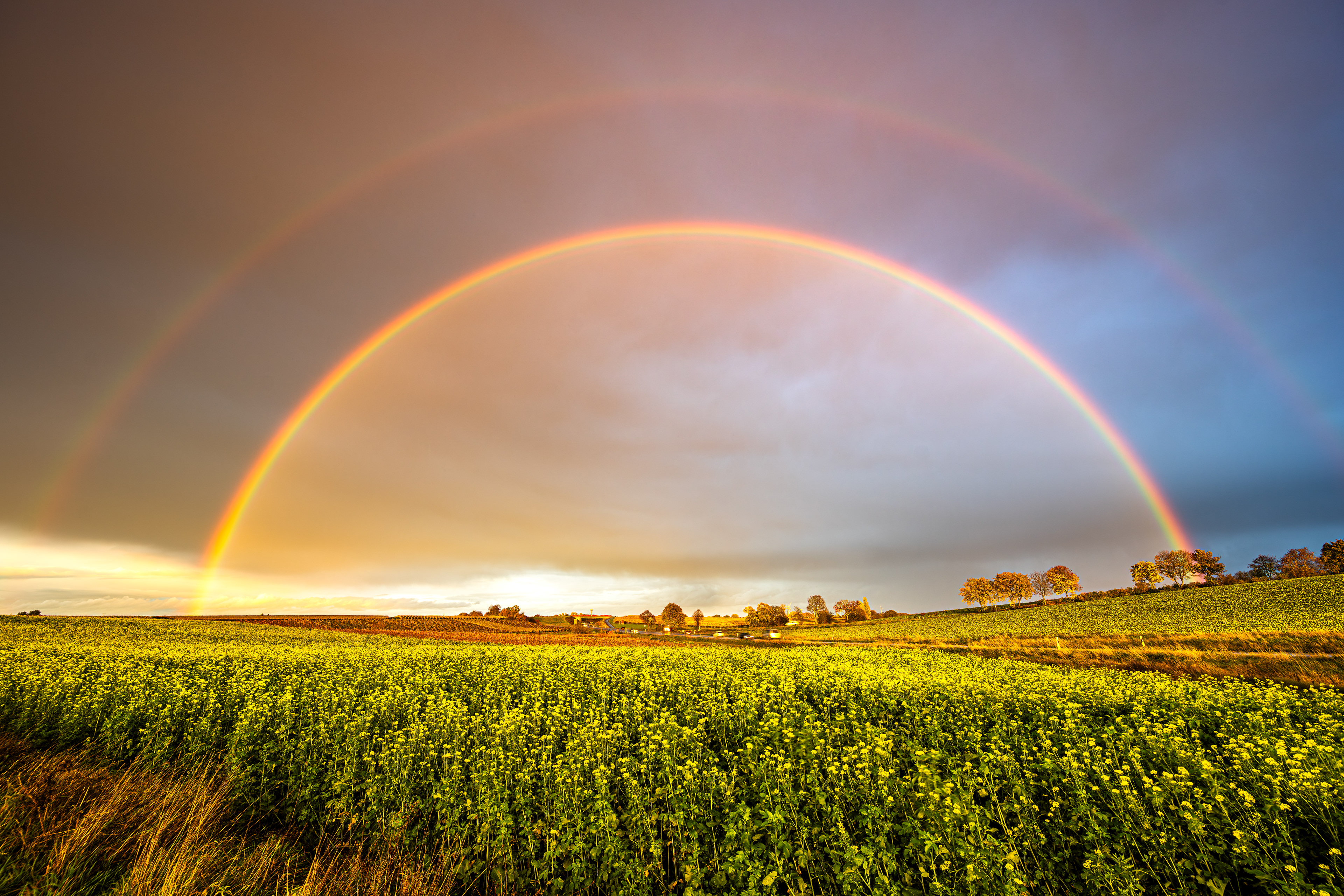 Doppelter Regenbogen, RLP (D) - 06.11.2023