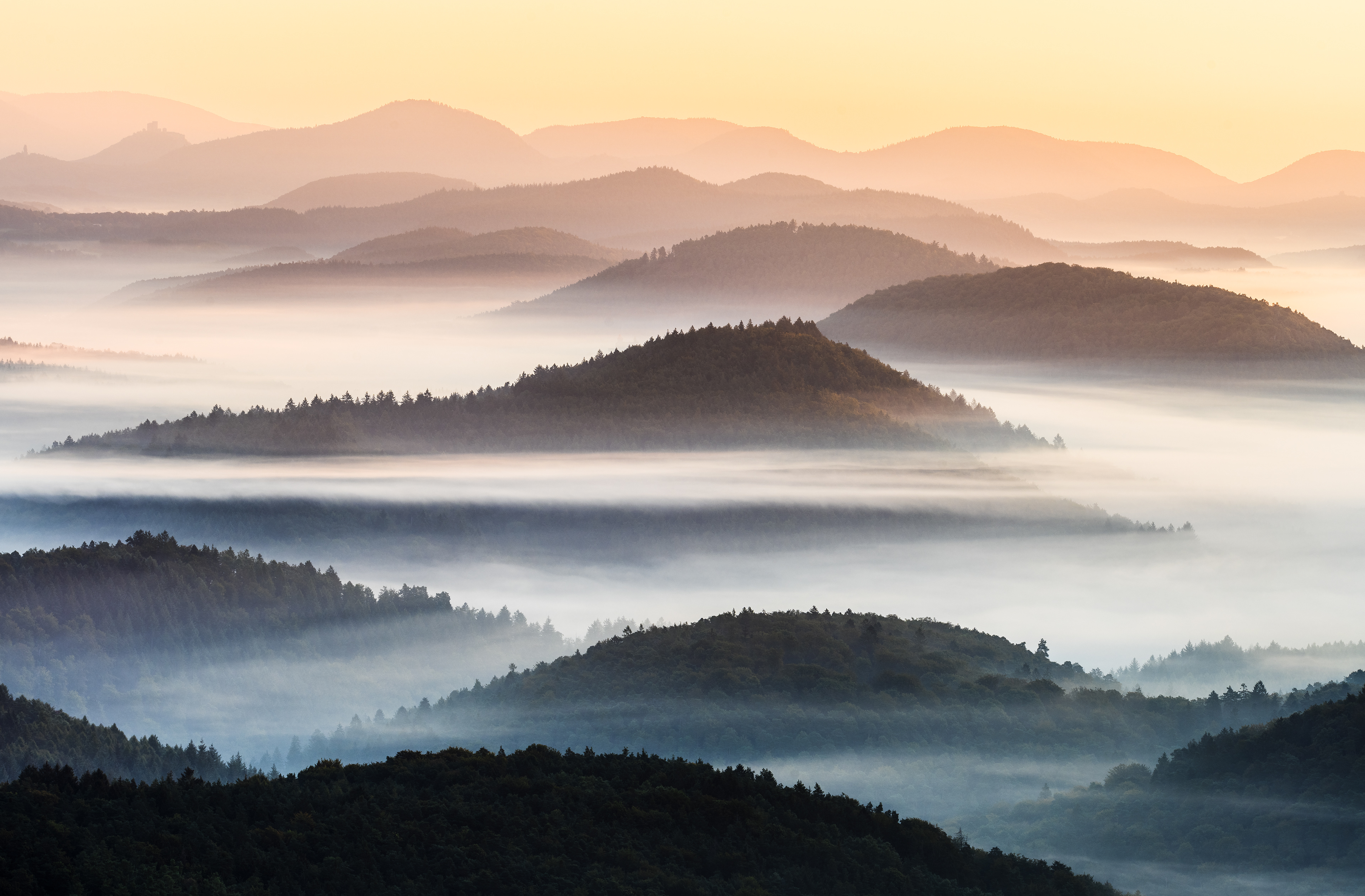Dahner Felsenland im Morgennebel, Pfälzerwald (D) - 09.09.2023