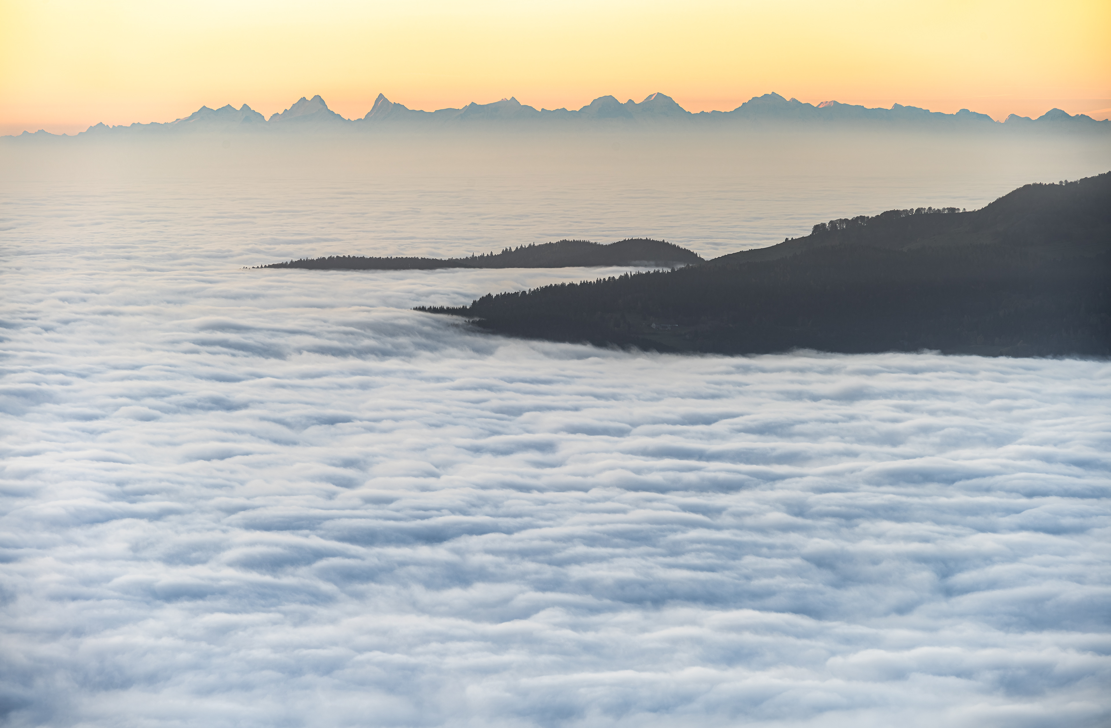 Alpenkette über Hochnebel, Vogesen (F) - 02.11.2024