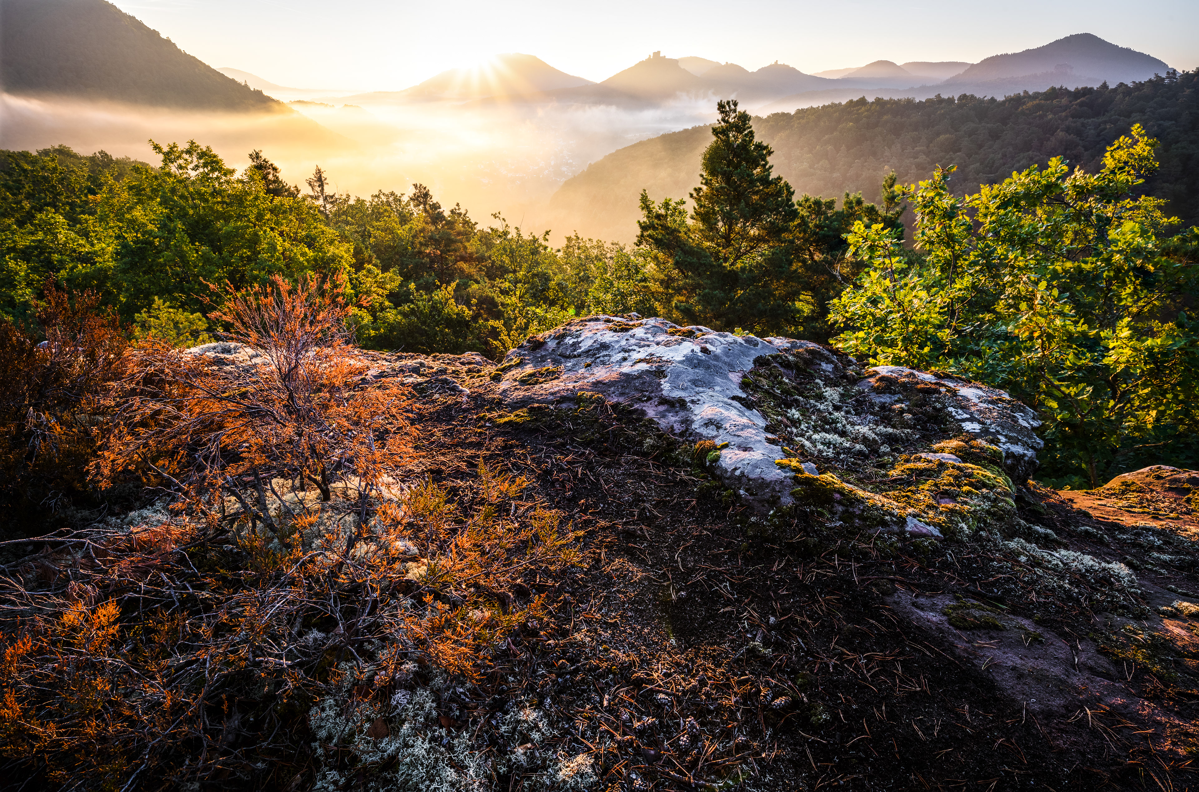 Sonnenaufgang über dem Dahner Felsenland, Pfälzerwald (D) - 12.09.2022