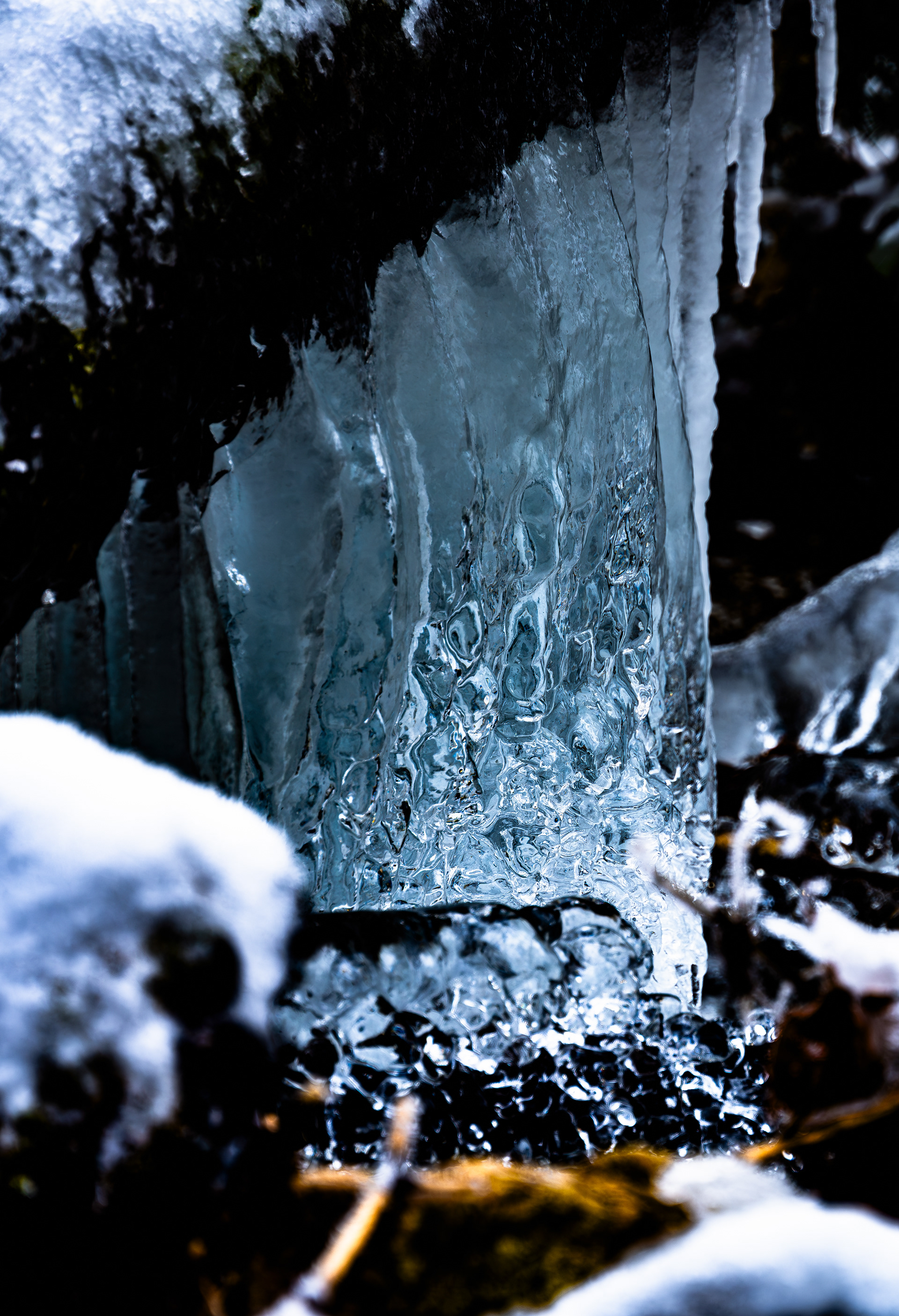 Eisbesatz Flusslauf, Vogesen (F) - 13.01.2024