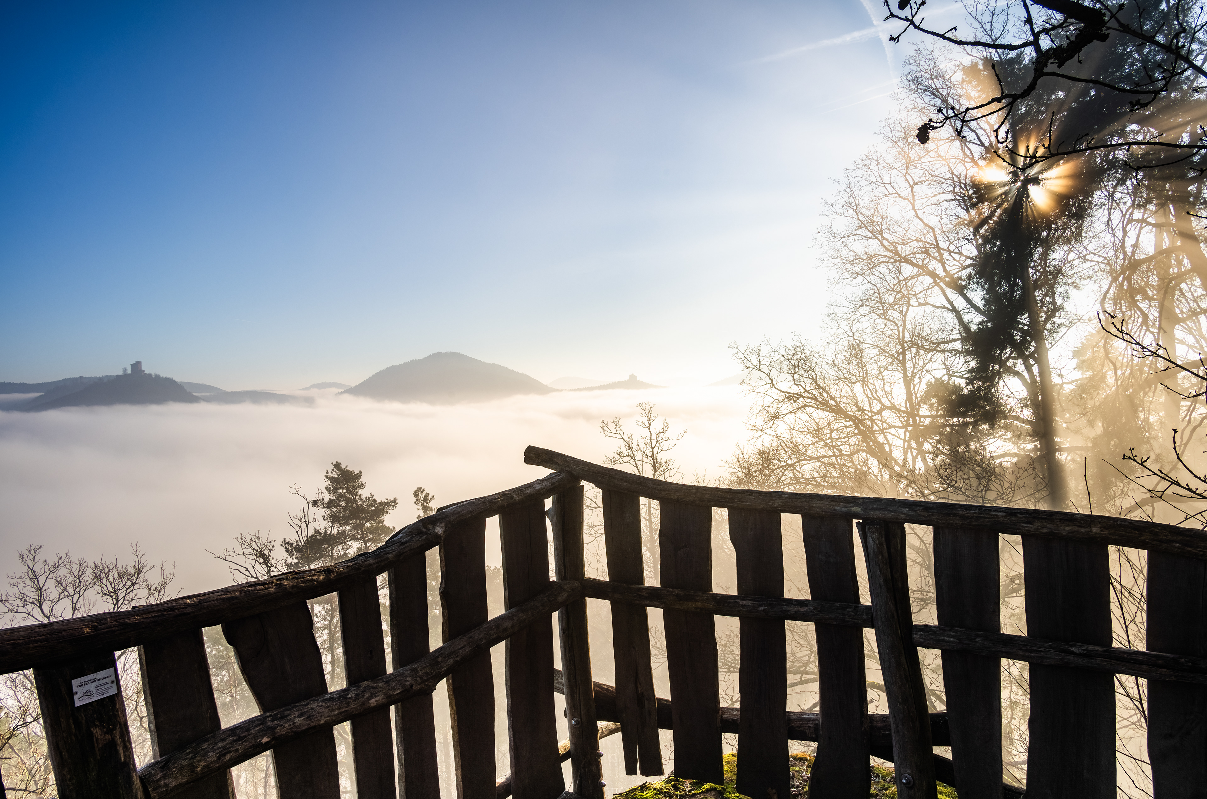 Hochnebel im Felsenland, Pfälzerwald (D) - 28.12.2024