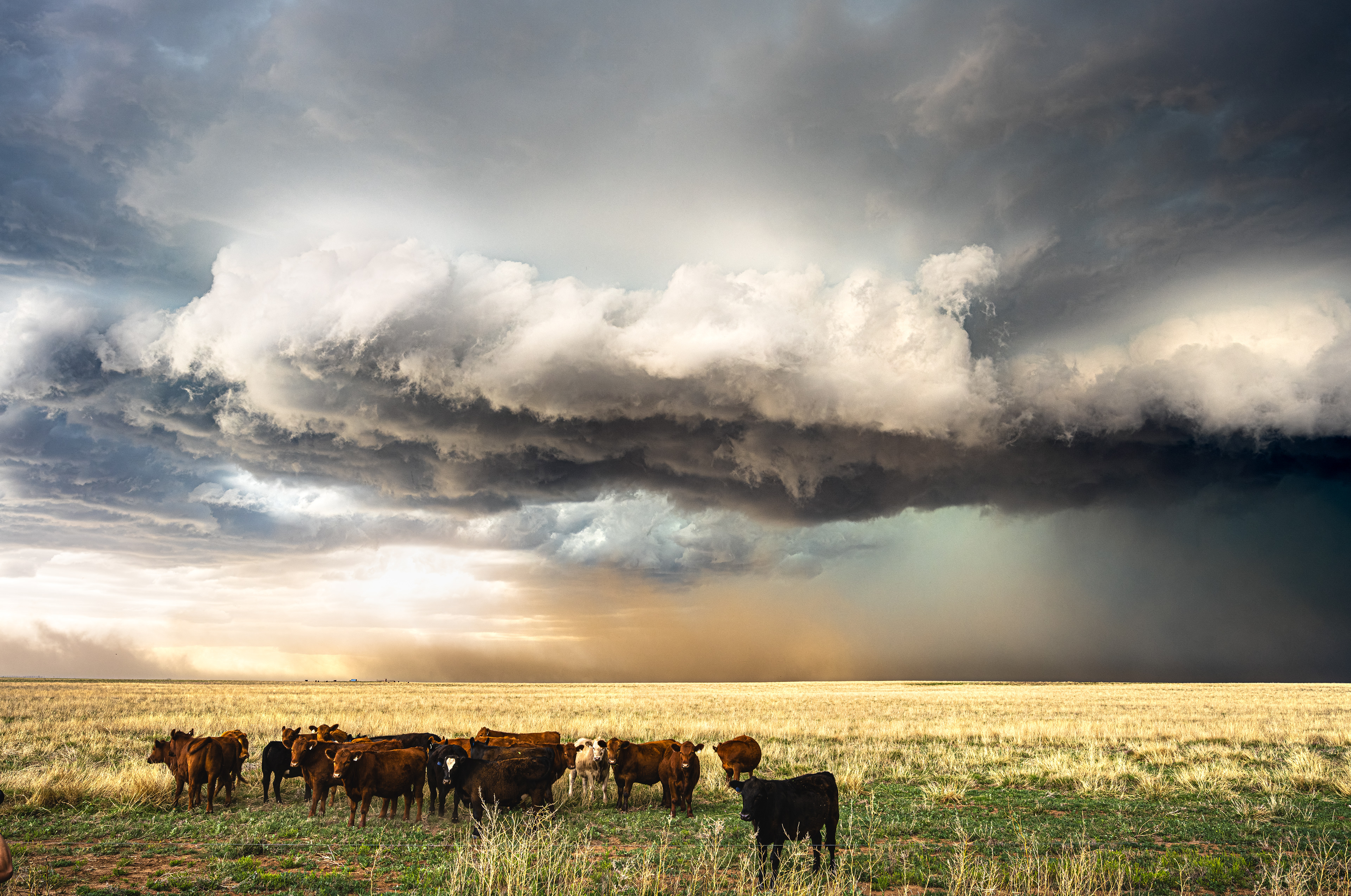 Gewitterzelle bringt Staub- und Hagelsturm, Dalhart, Texas - 15.05.2024