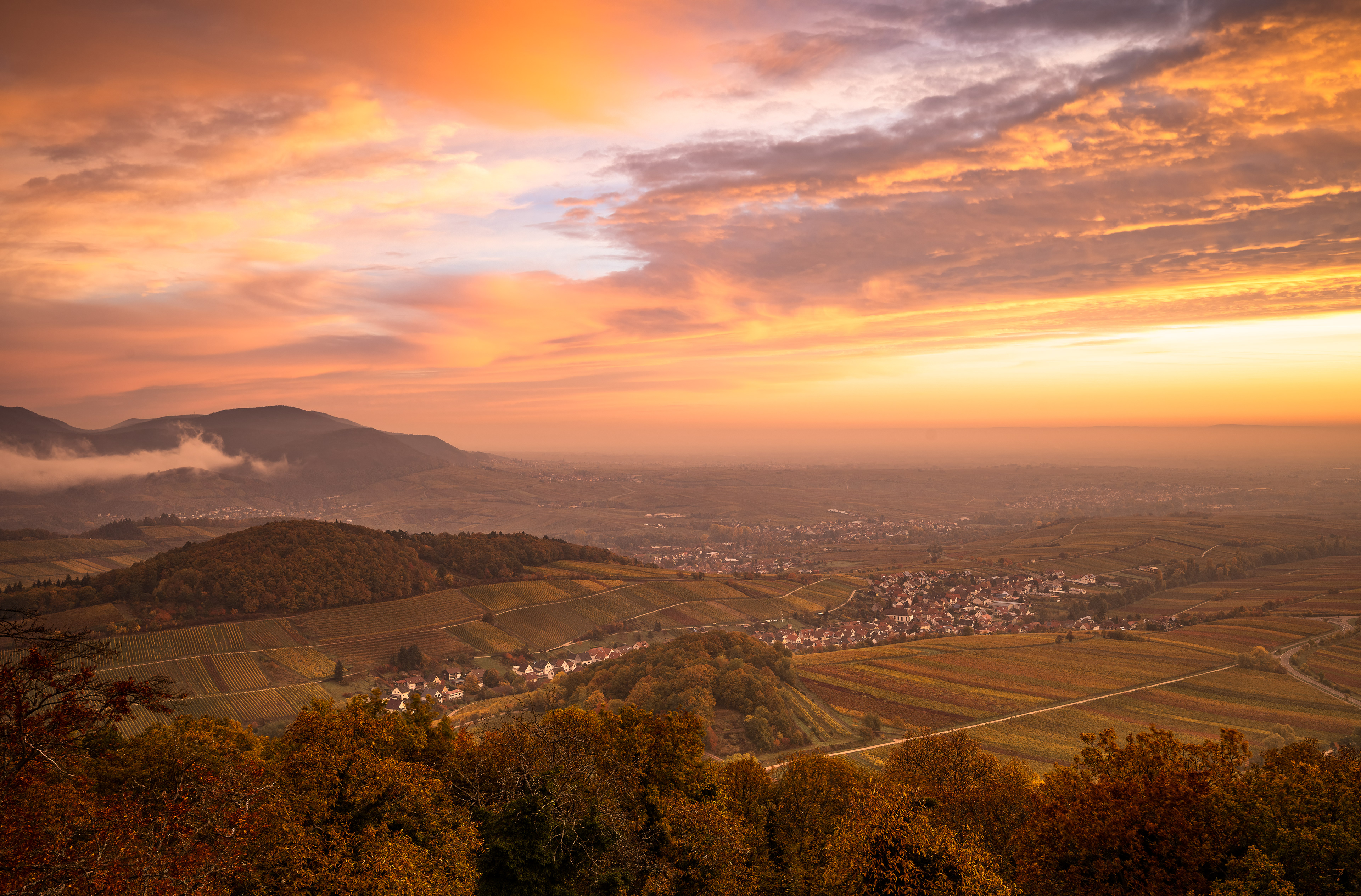 Morgenröte über der Weinstraße, RLP (D) - 30.10.2021