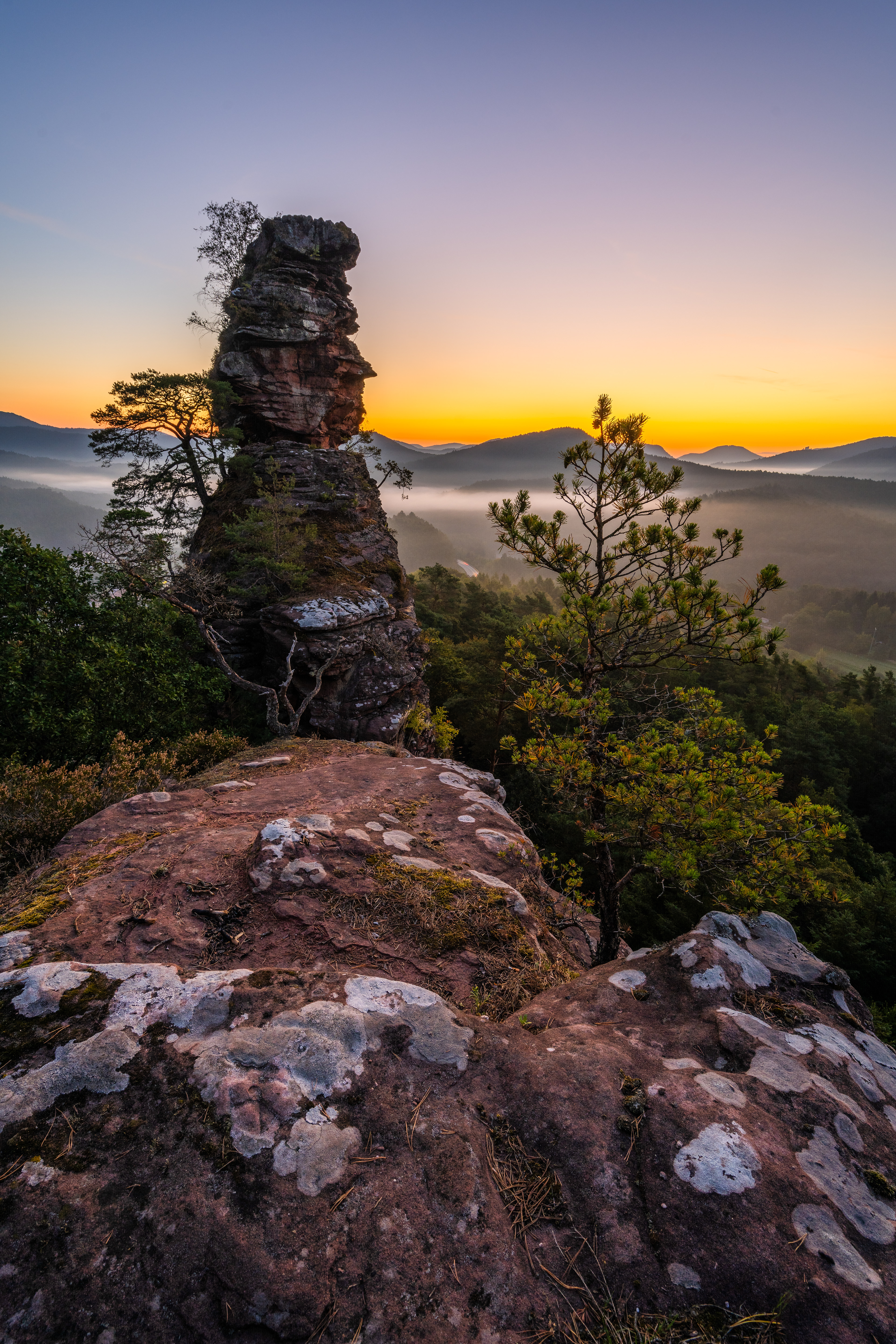 Morgendämmerung über dem Pfälzerwald (D) - 16.09.2023