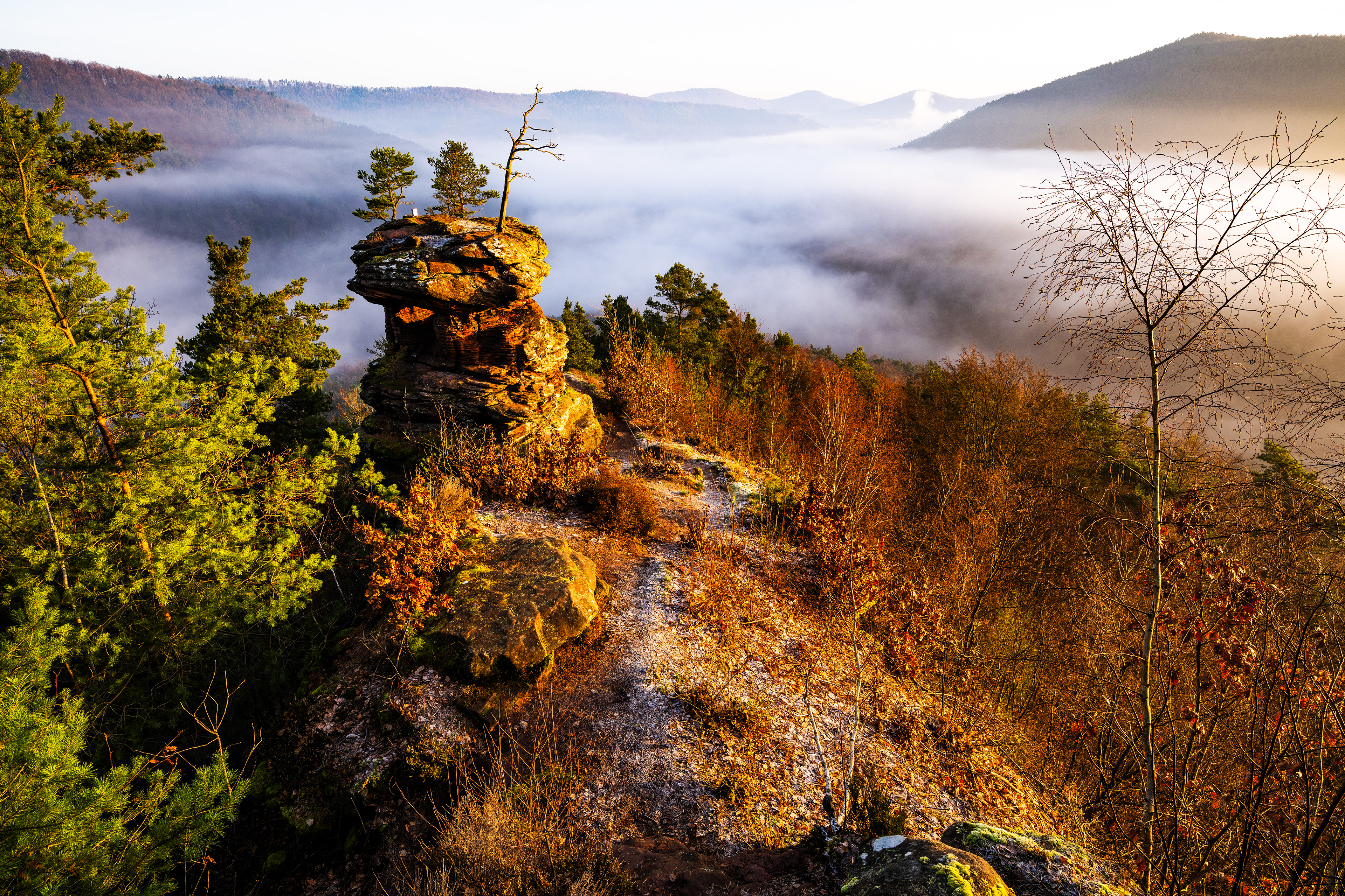 Felsenland im Morgenlicht, Pfälzerwald (D) - 29.02.2024