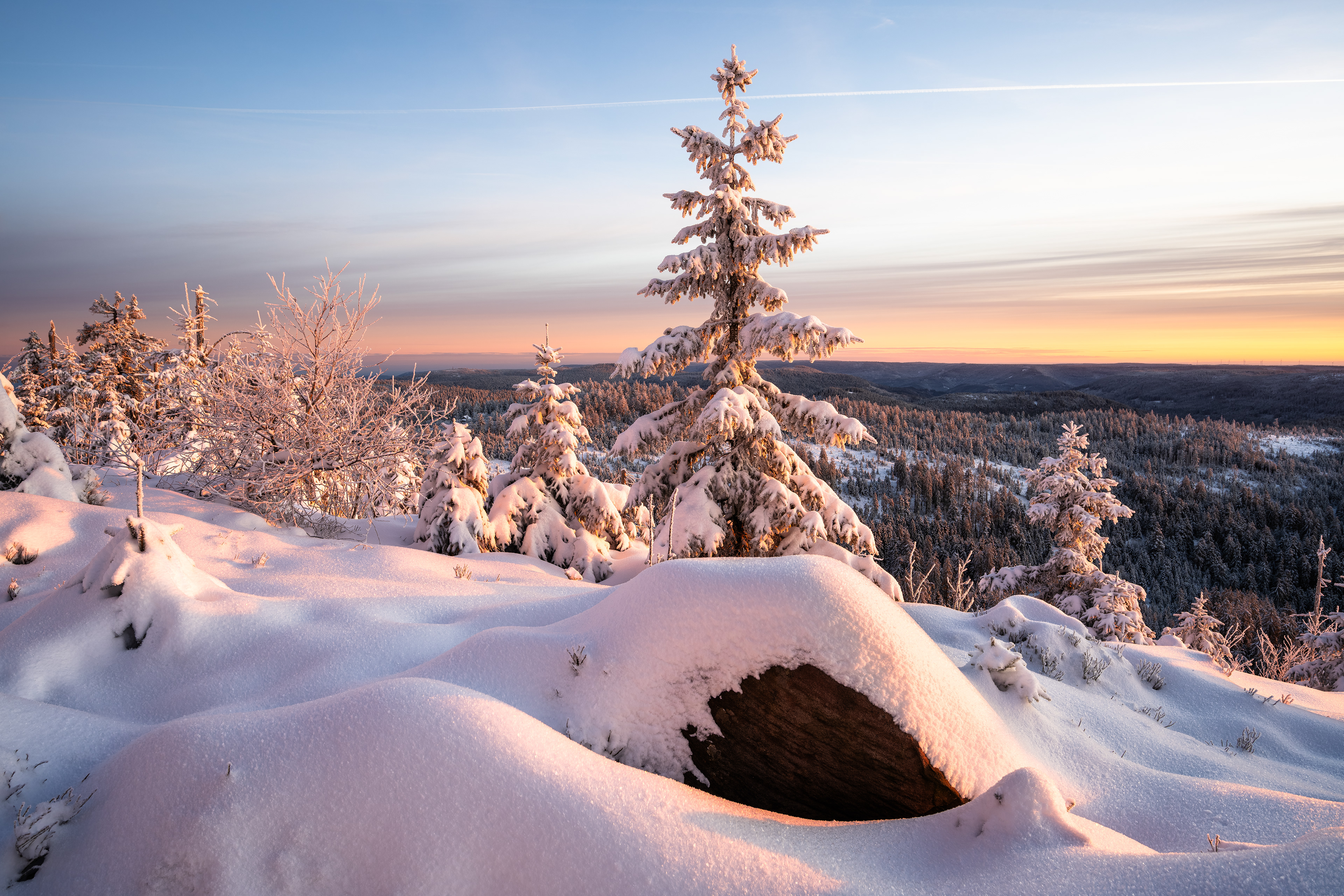 Morgenlicht auf verschneiter Hornisgrinde, Schwarzwald (D) - 04.01.2025