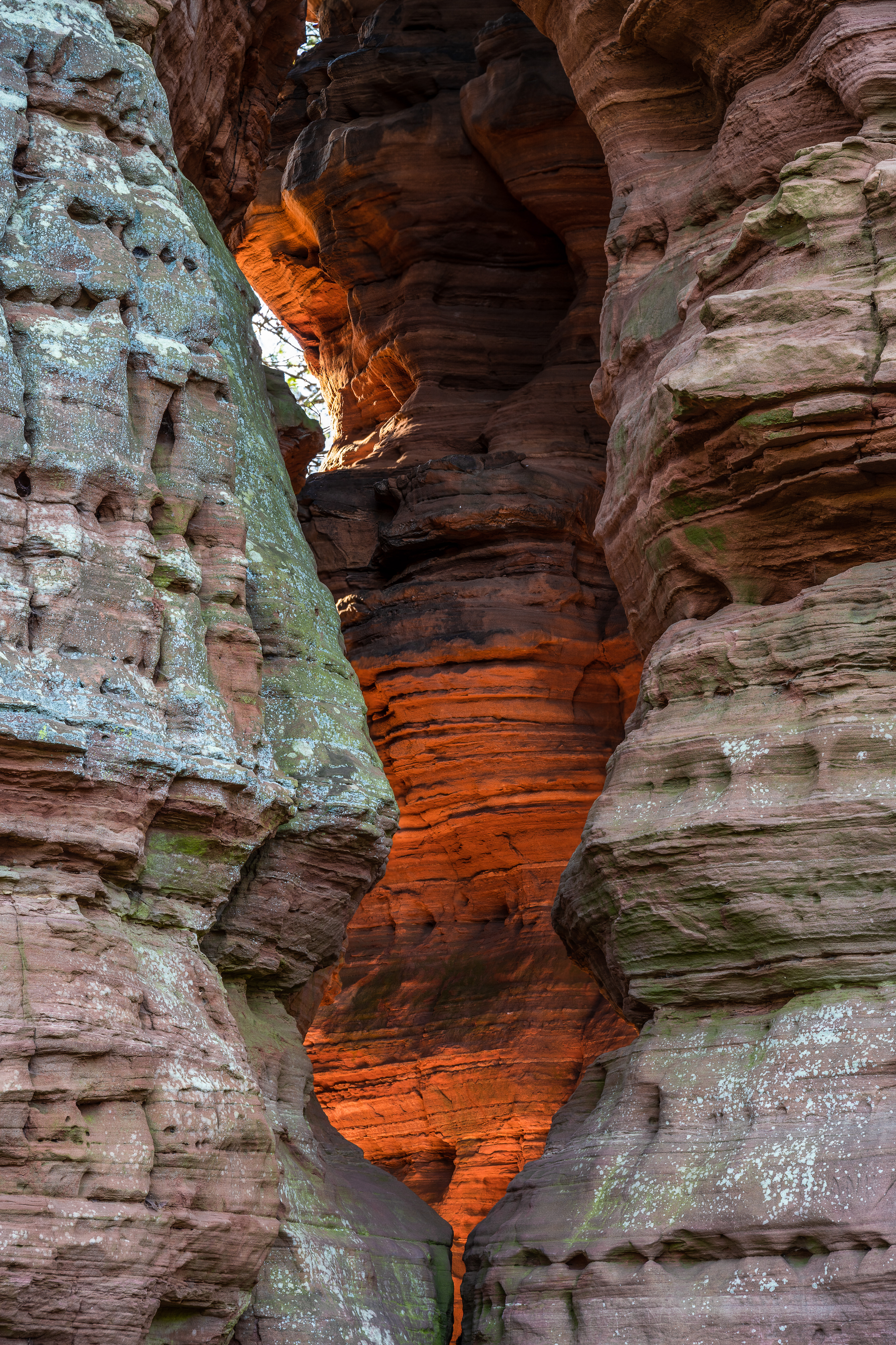 Buntsandstein im Morgenlicht, Pfälzerwald (D) - 17.04.2022