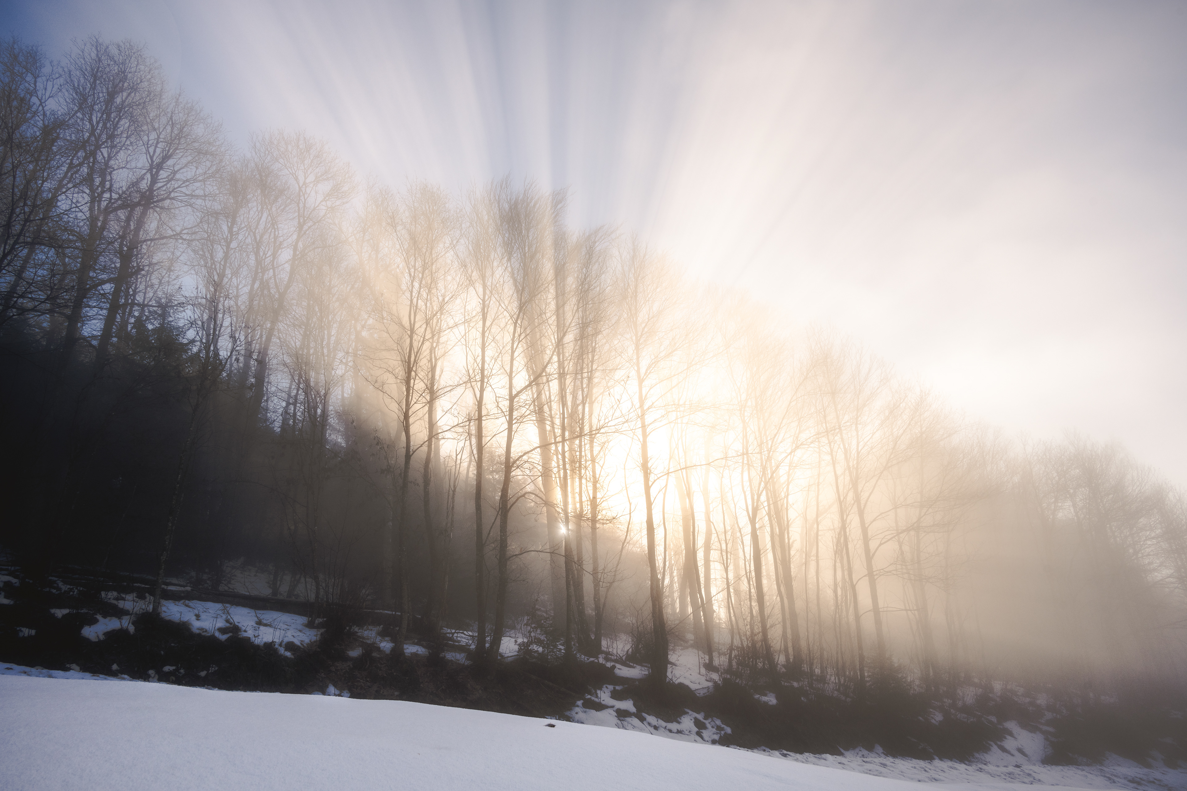 Nebelstrahlen am Renchtalsteig, Schwarzwald (D) - 19.12.2021