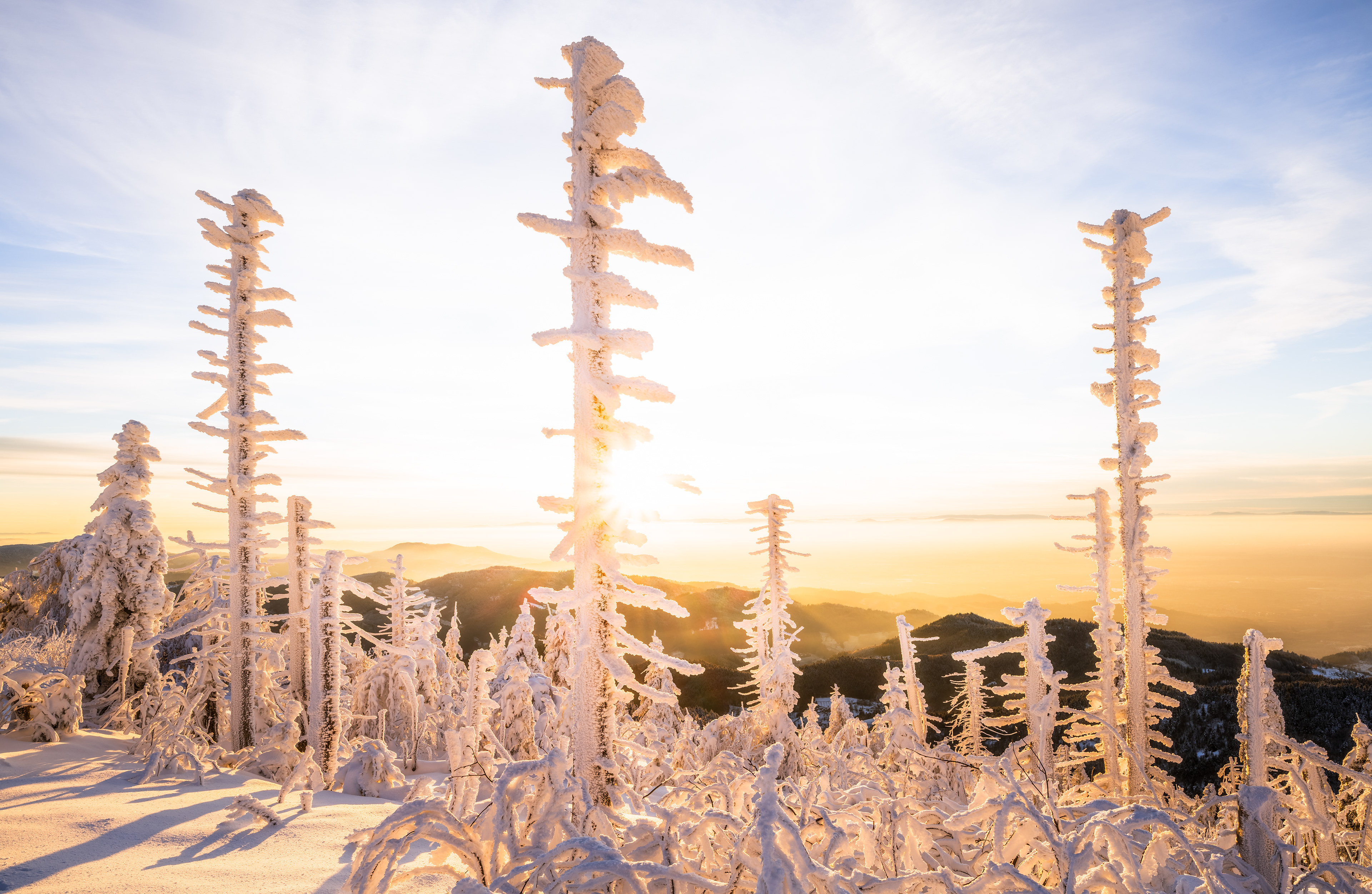 Sonnenuntergang auf der Hornisgrinde, Schwarzwald (D) - 03.12.2023