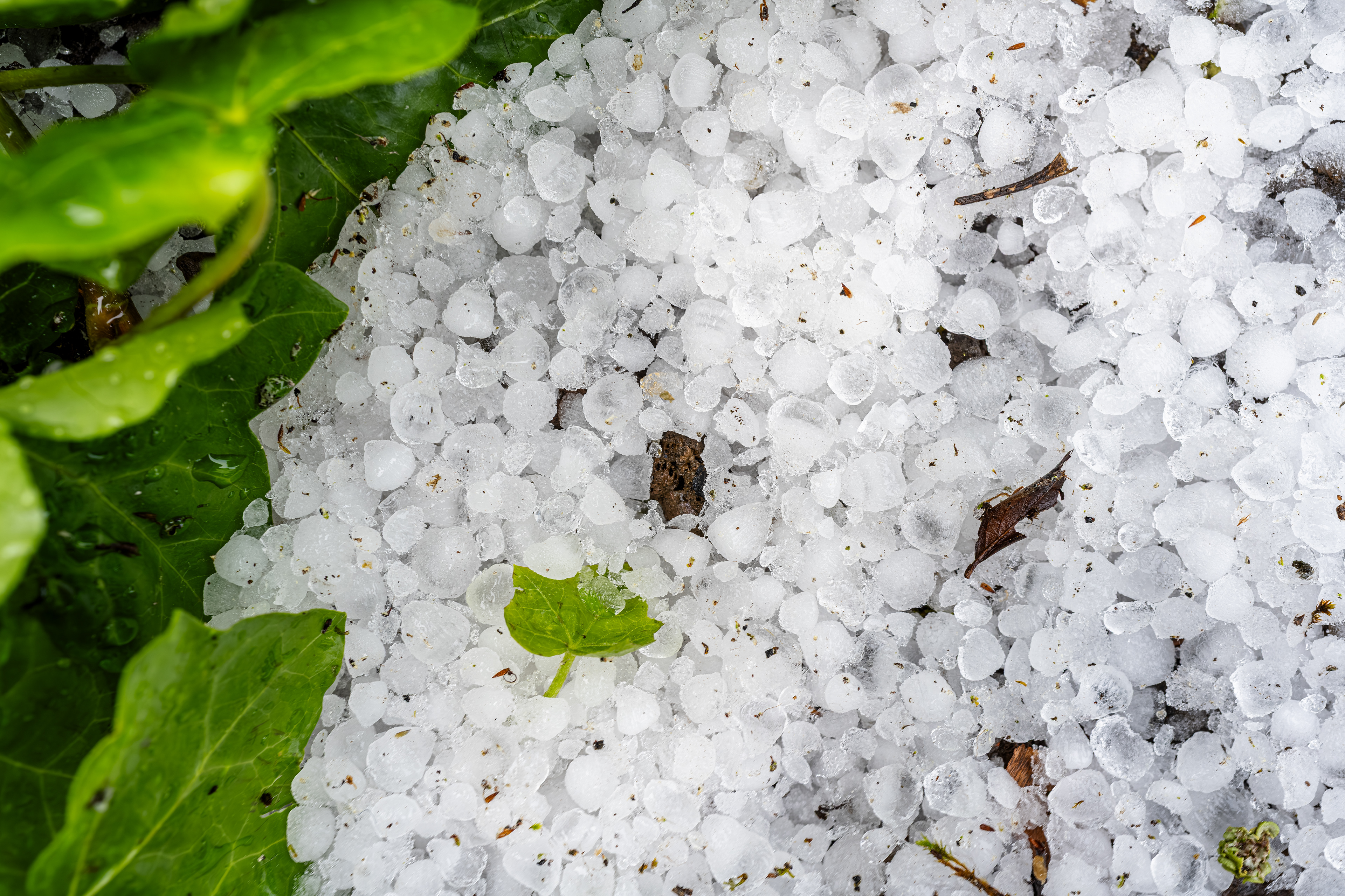 Hagelkörner (~1cm), RLP (D) - 21.05.2025
