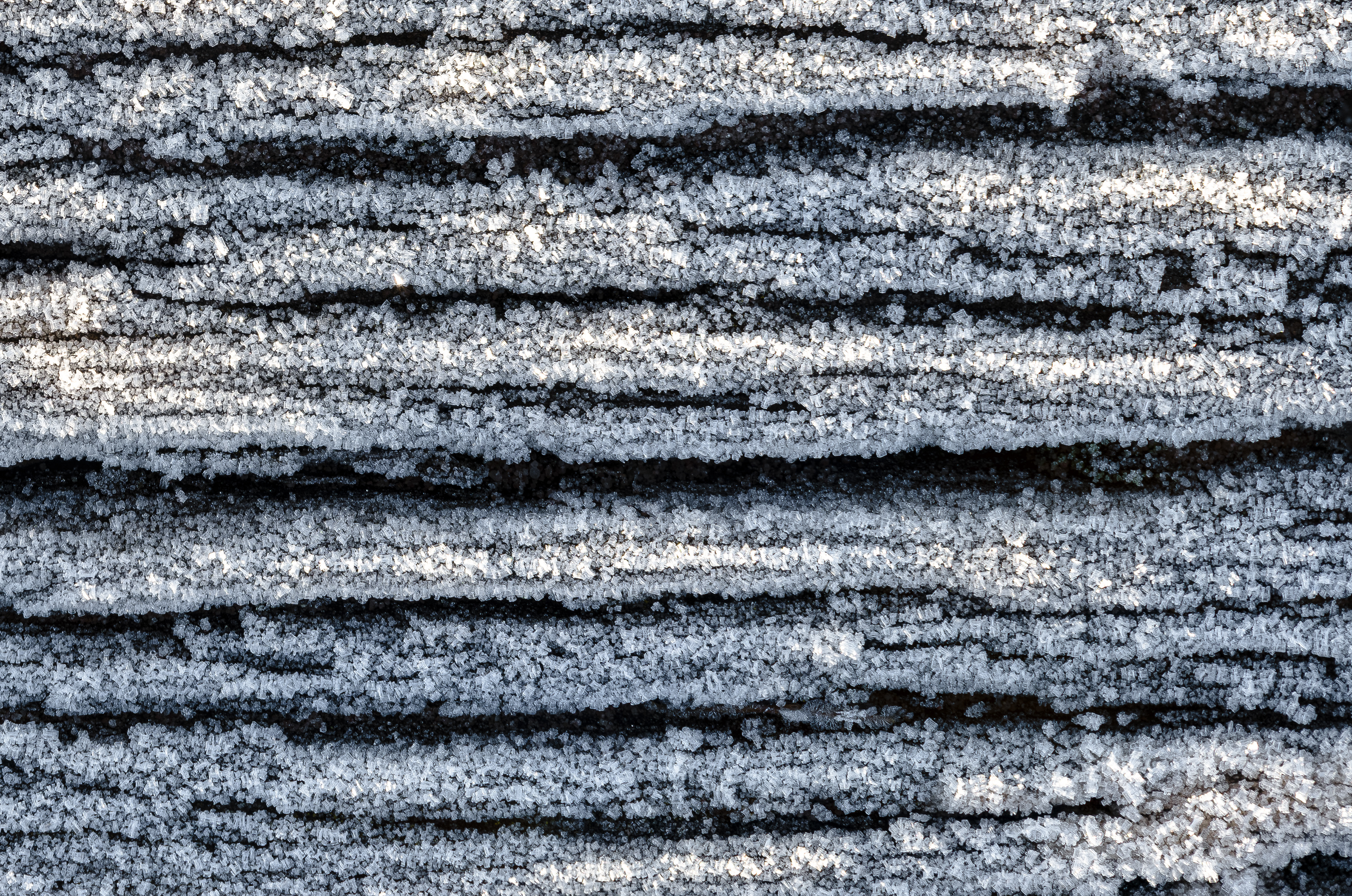 Reifbesatz an einem Holzelement (F) - 30.11.2024