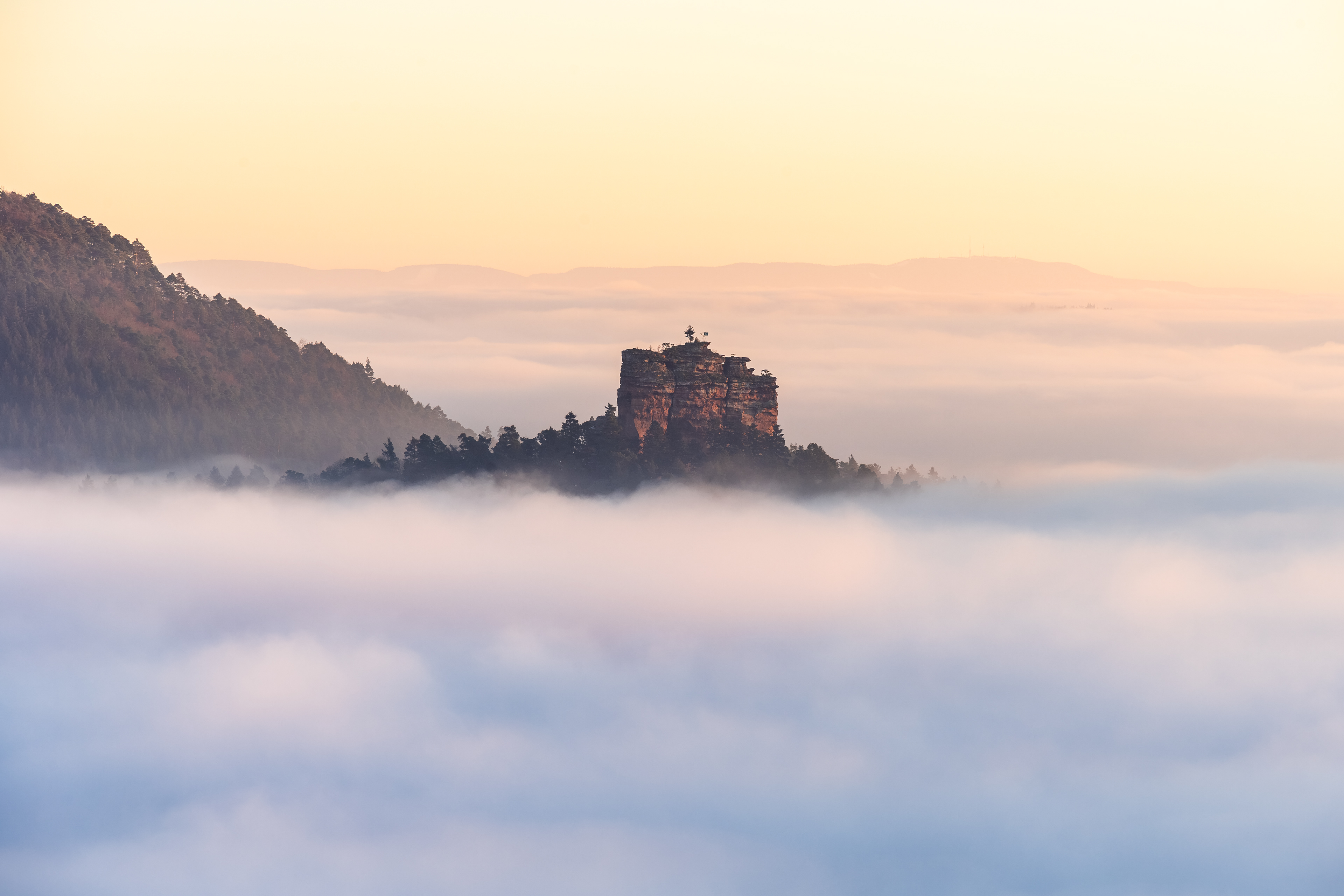 Trifelsland unter dichtem Hochnebel, Pfälzerwald (D) - 28.12.2024