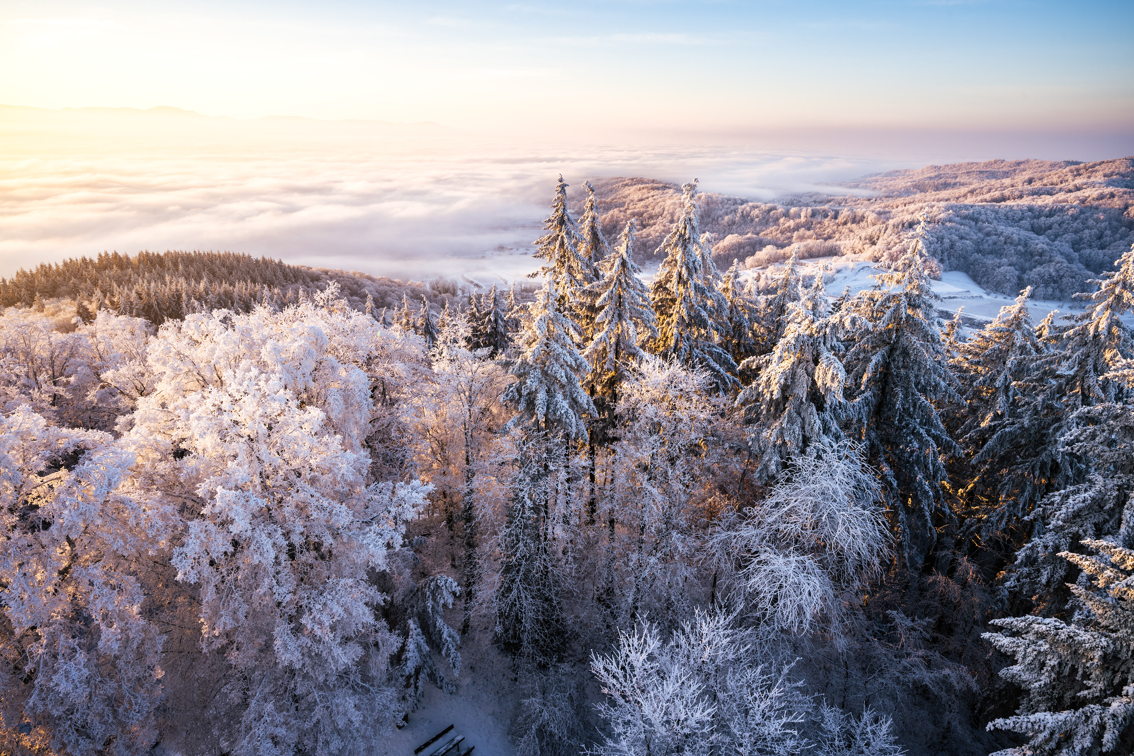 Reifbesatz am Kaiserstuhl (D) - 18.12.2022