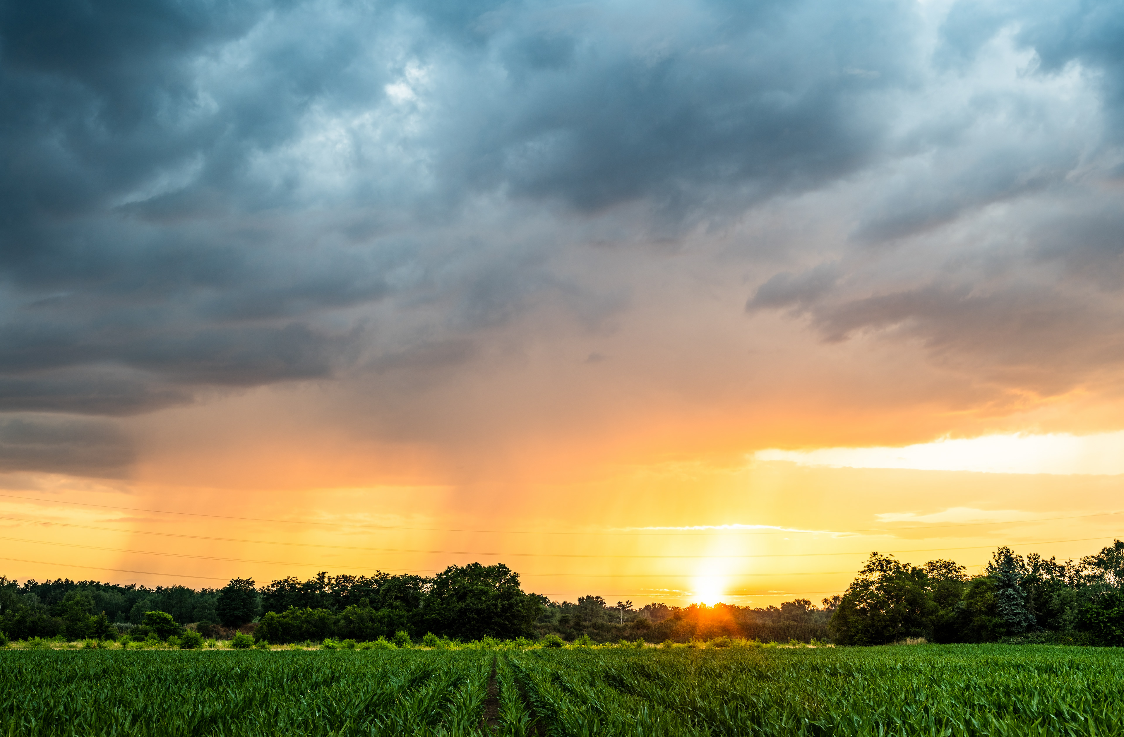 Blutregen zu Sonnenuntergang (Saharastaub), RLP (D) - 20.06.2023