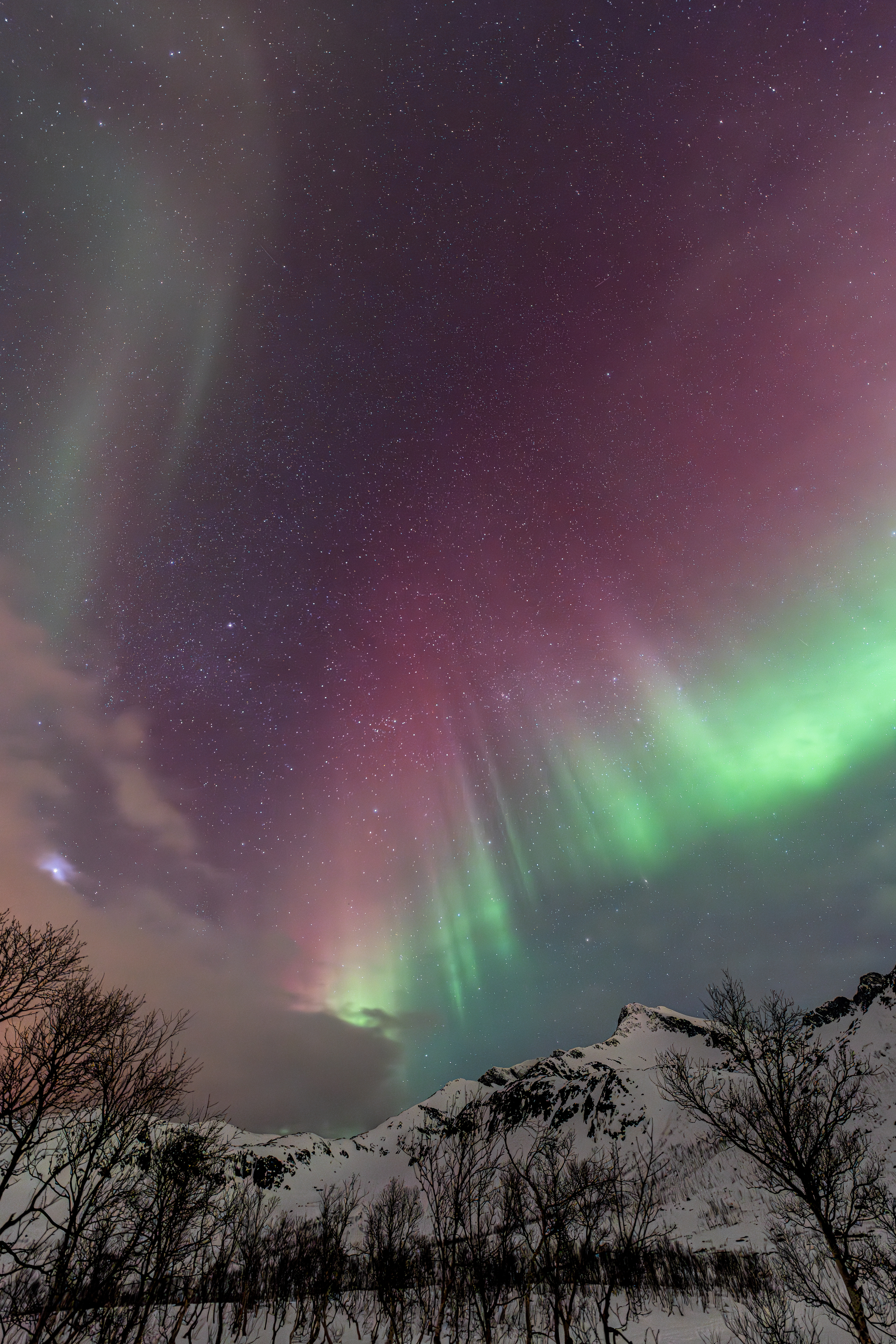 Polarlicht über Norwegen (25.02.2025)