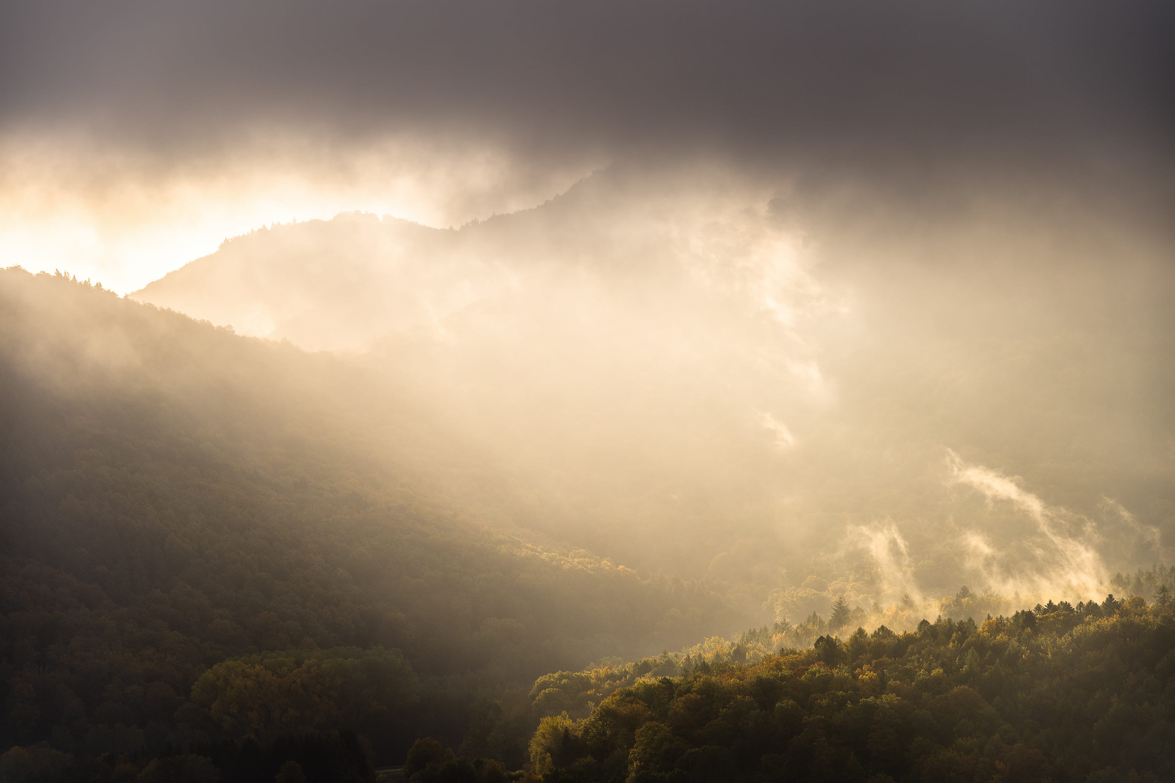 Dahner Felsenland im Morgenlicht, Pfälzerwald (D) - 22.10.2021