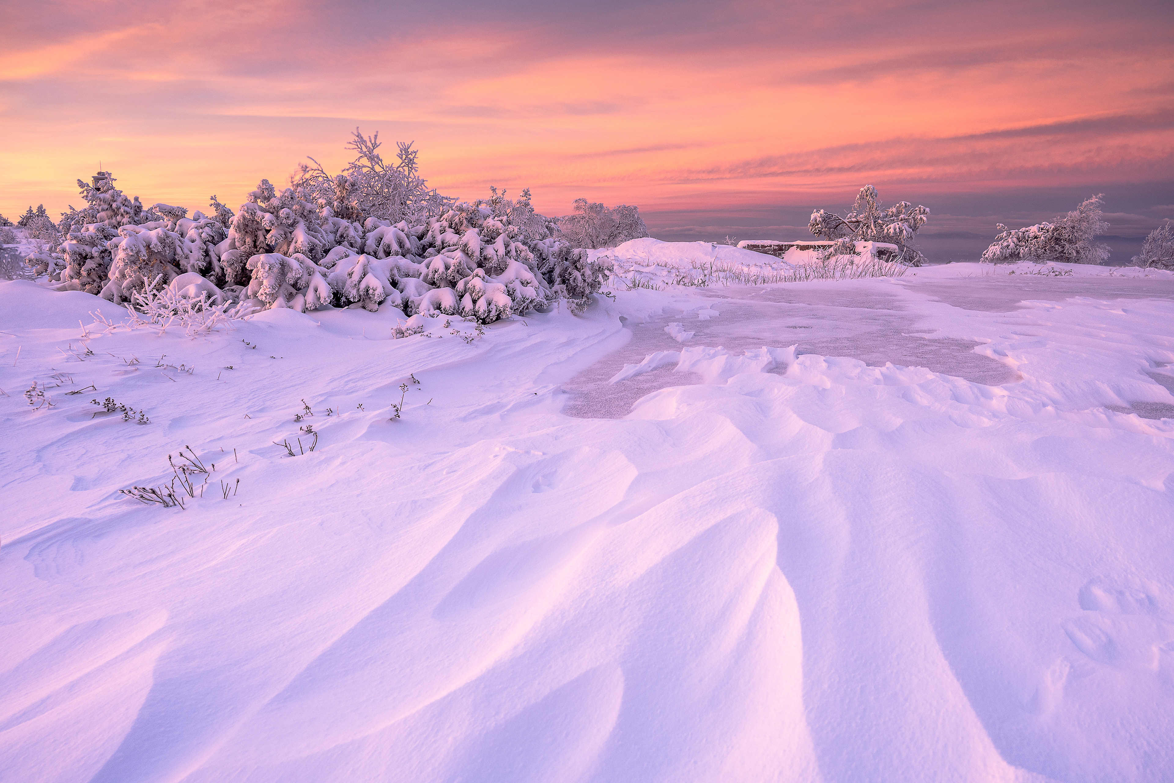 Schneeverwehungen auf der Hornisgrinde, Schwarzwald (D) - 27.12.2020