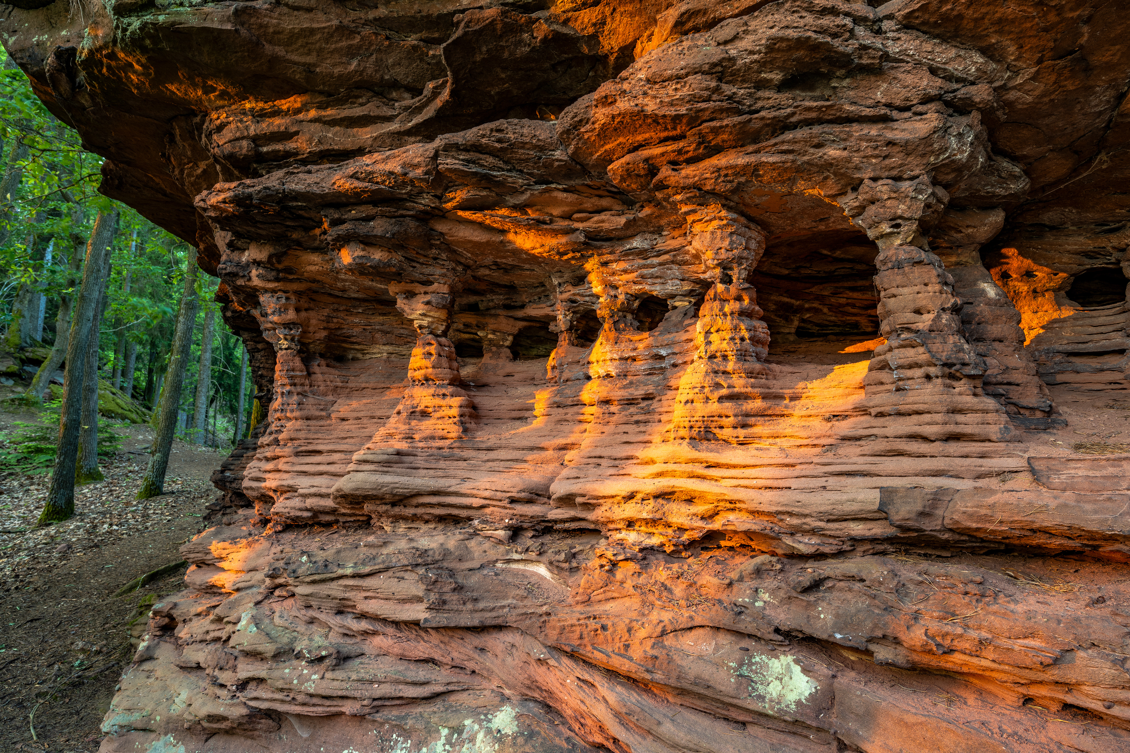 Buntsandstein im Abendlicht, Pfälzerwald (D) - 03.06.2023