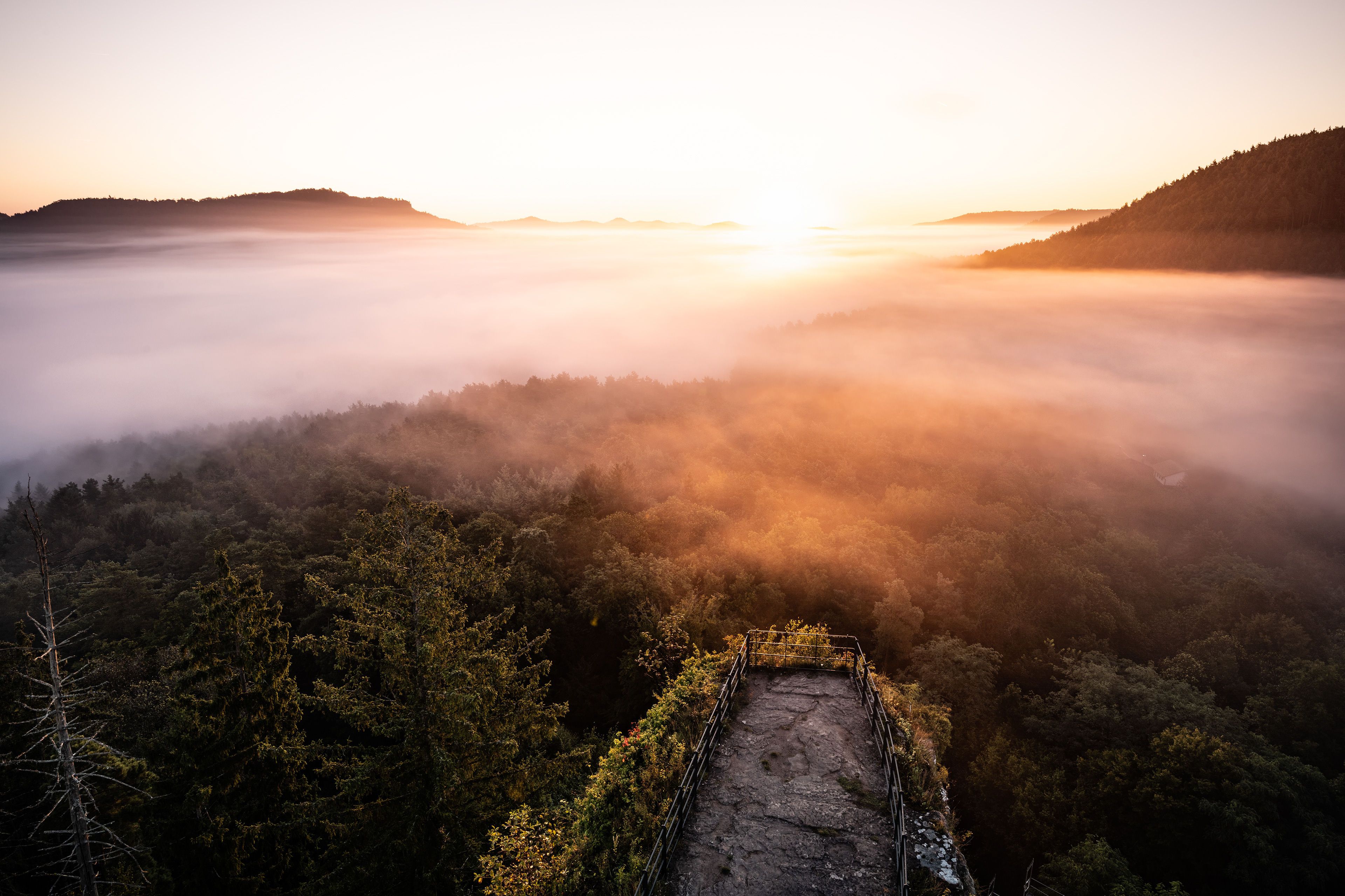 Dahner Felsenland in dichtem Bodennebel, Pfälzerwald (D) - 25.09.2021