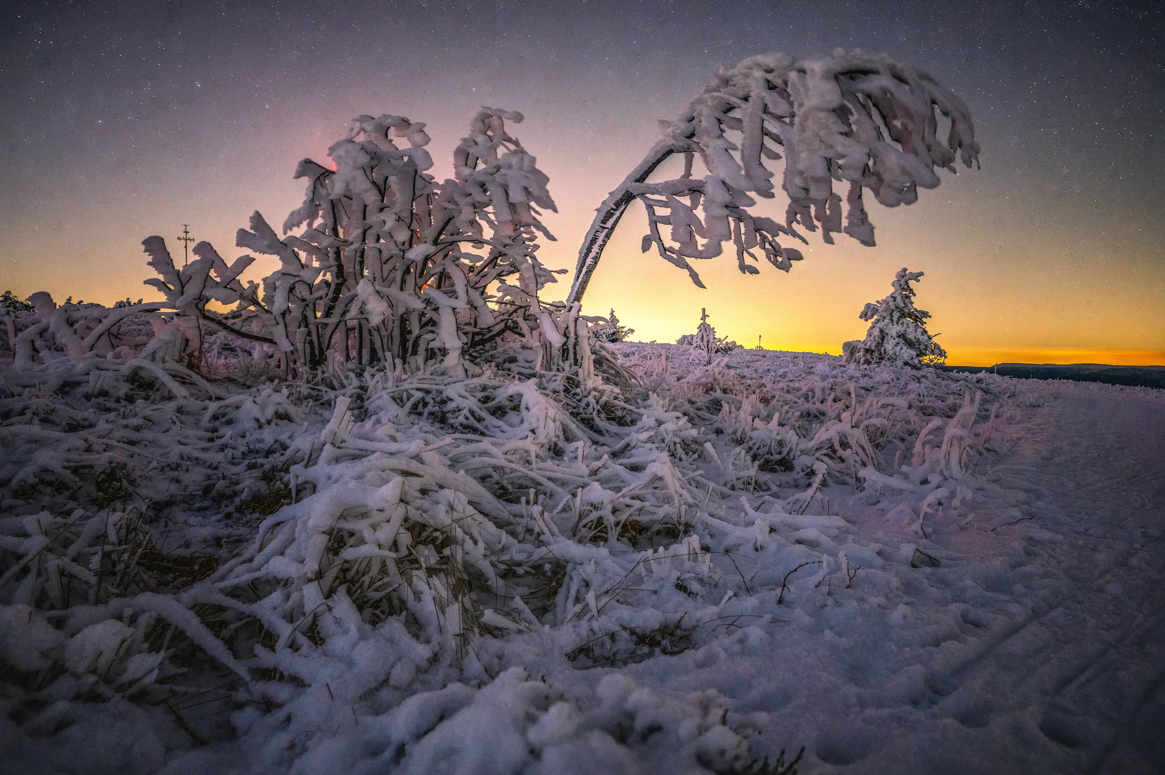 Raueisbesatz auf der Hornisgrinde, Schwarzwald (D) 12.12.2022