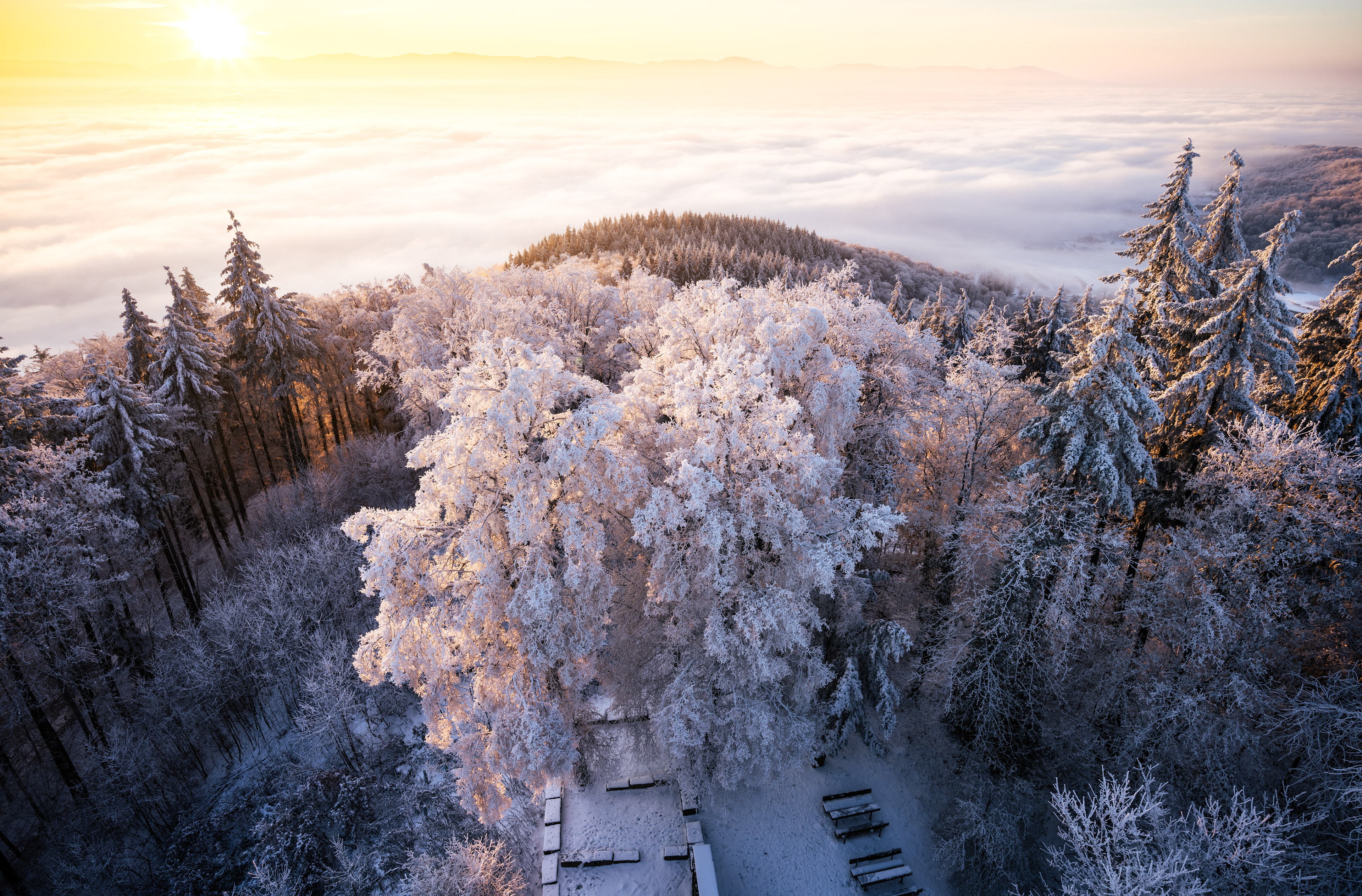 Reifbesatz am Kaiserstuhl (D) - 18.12.2022