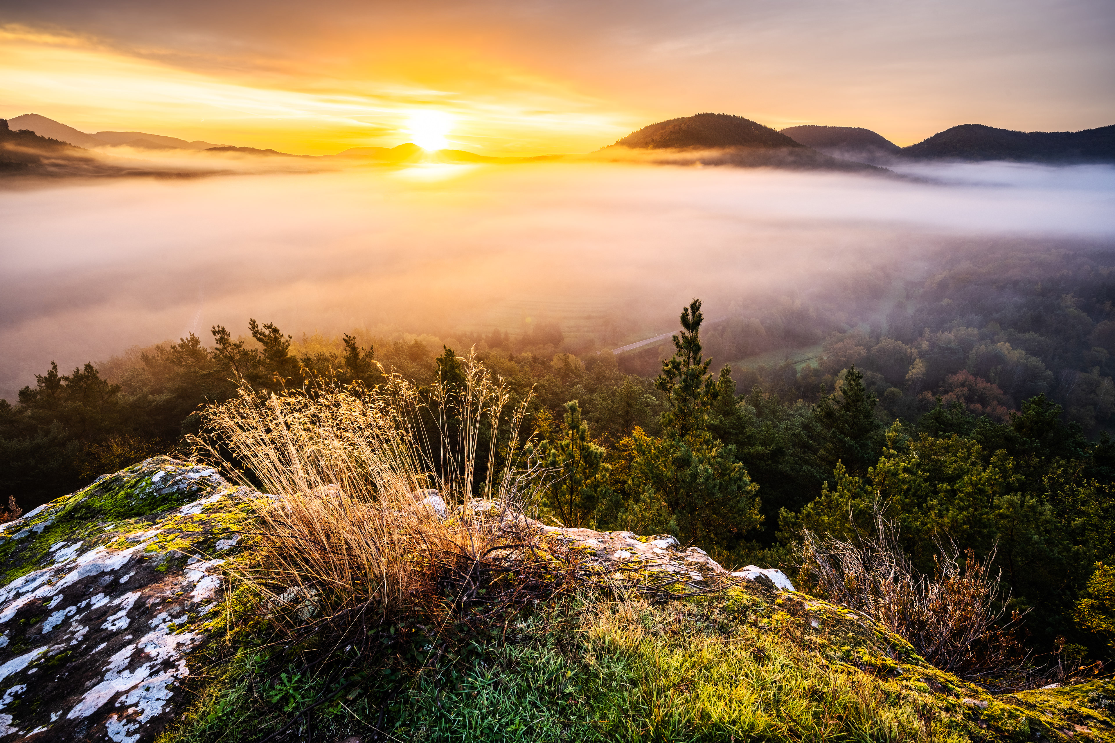 Sonnenaufgang über dem Dahner Felsenland, Pfälzerwald (D) - 03.11.2022