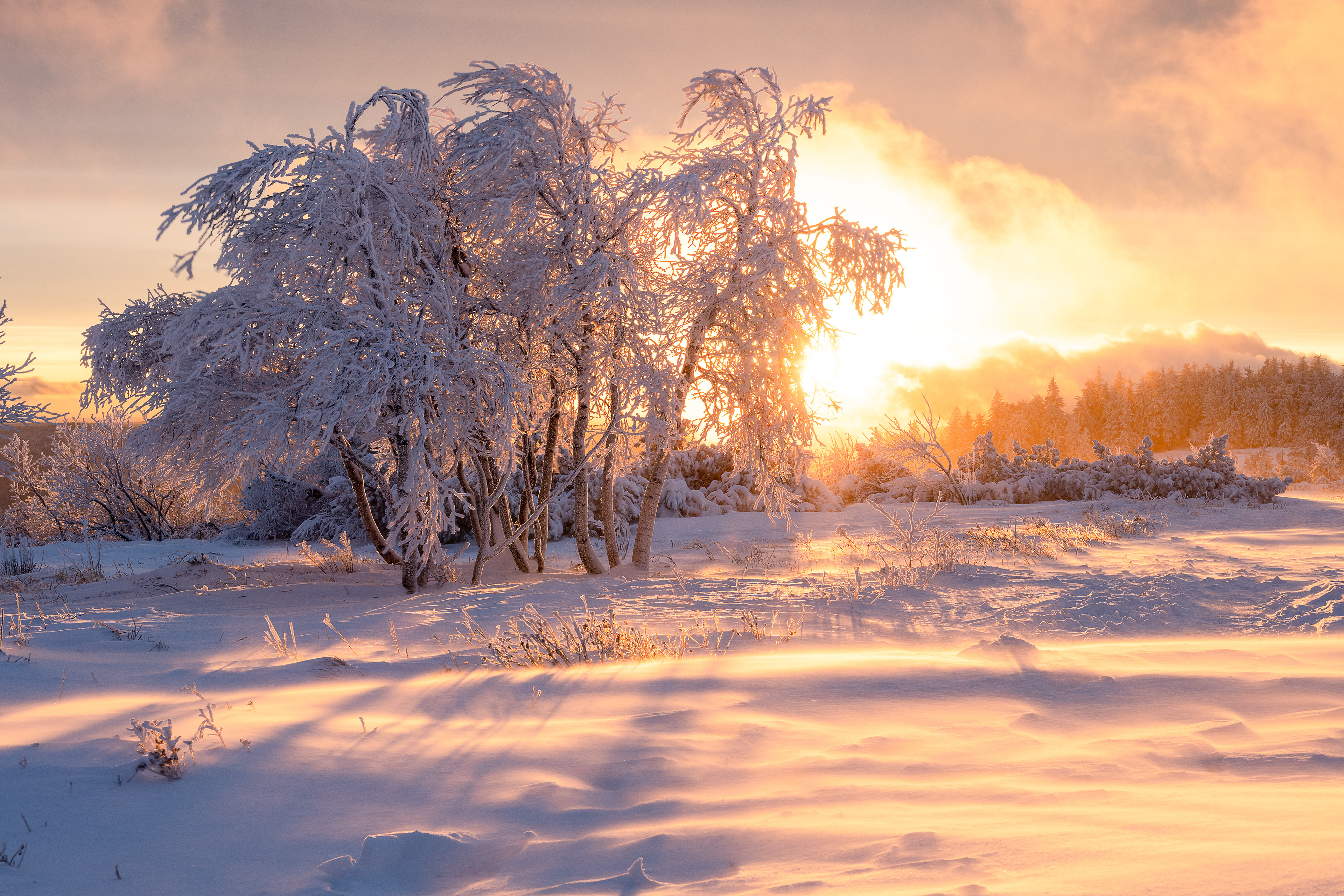 Sonnenaufgang über verschneiter Hornisgrinde, Schwarzwald (D) - 27.12.2020