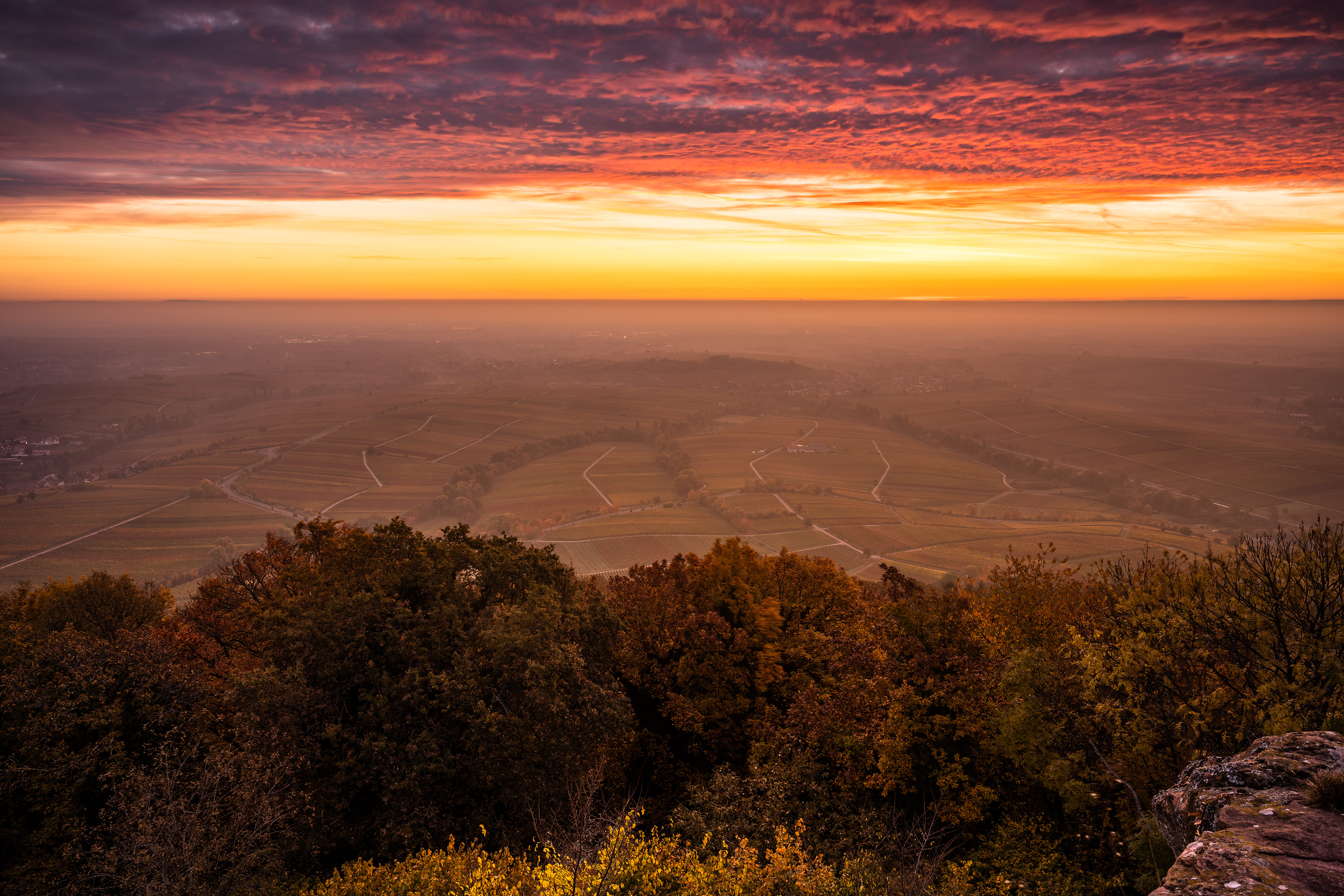 Morgenröte über der Weinstraße, RLP (D) - 30.10.2021