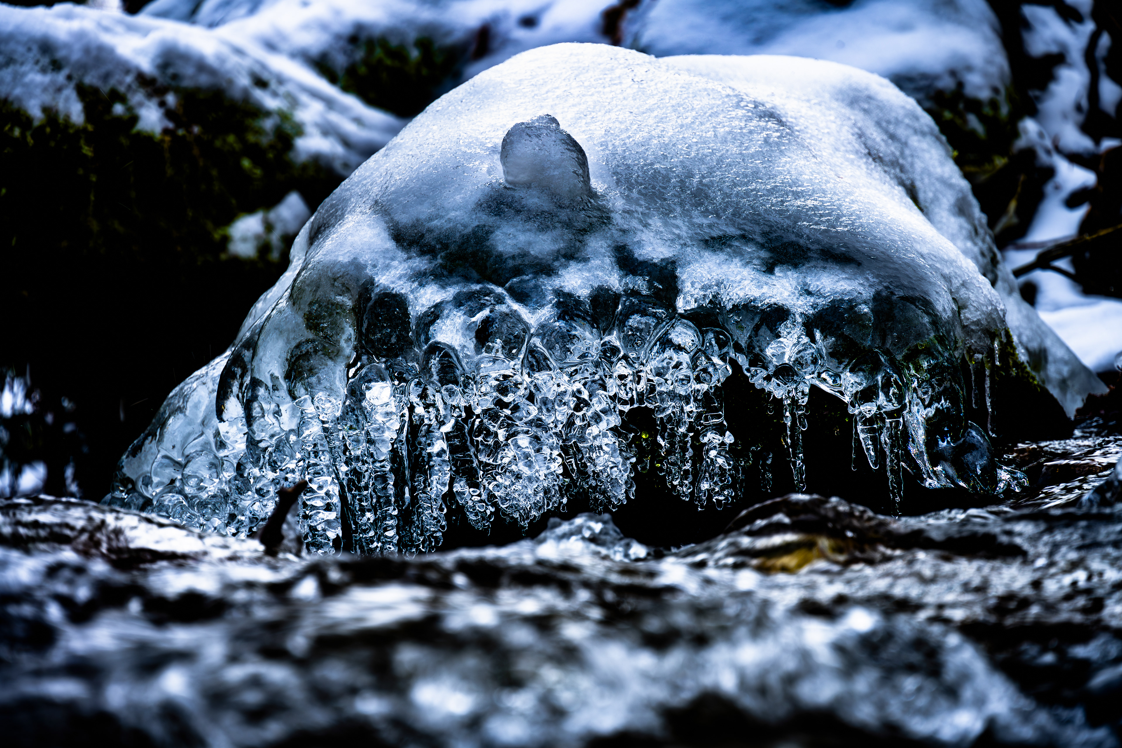 Eisbesatz Flusslauf, Vogesen (F) - 13.01.2024