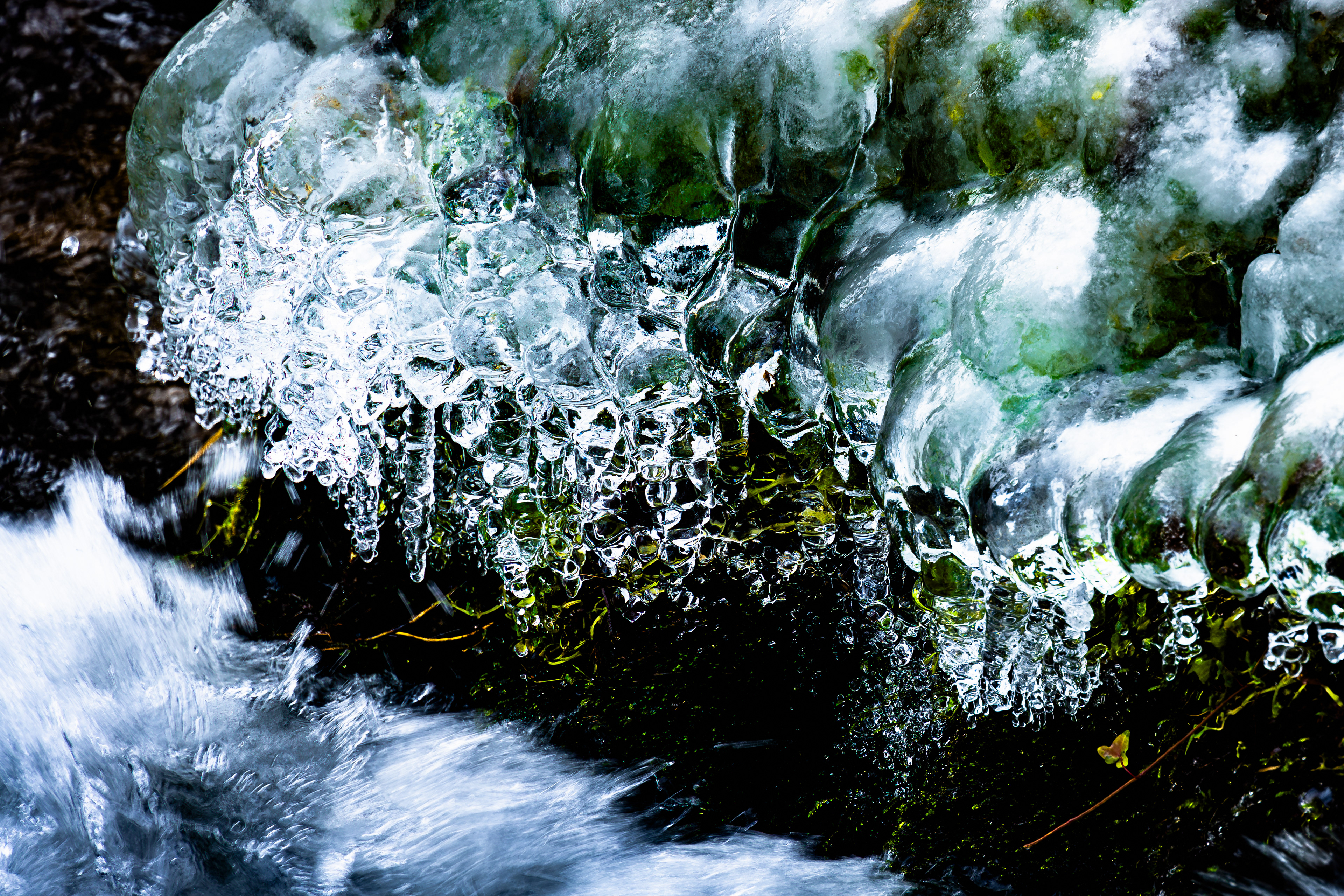 Eisbesatz Flusslauf, Vogesen (F) - 13.01.2024
