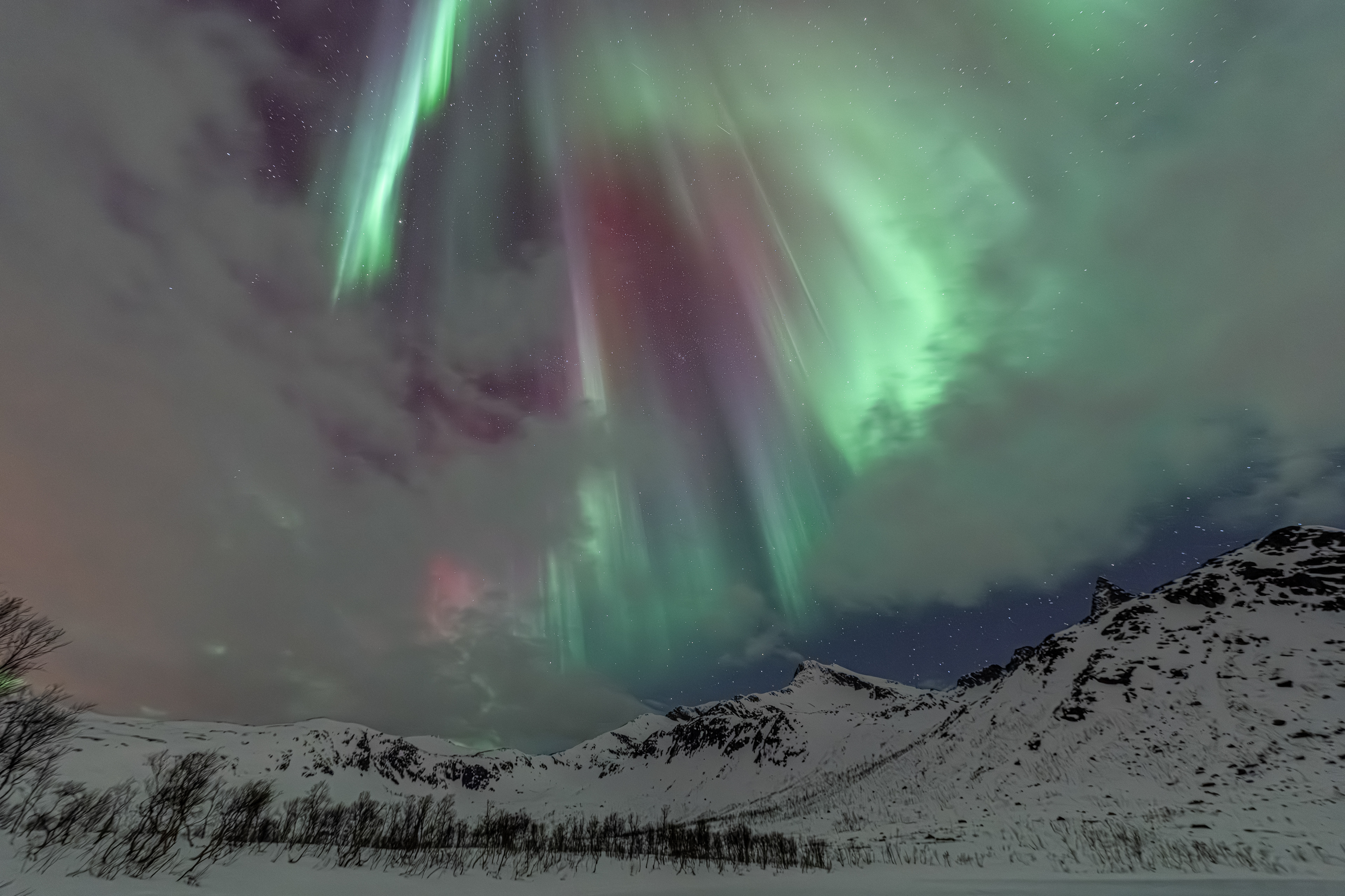 Polarlicht über Norwegen (25.02.2025)