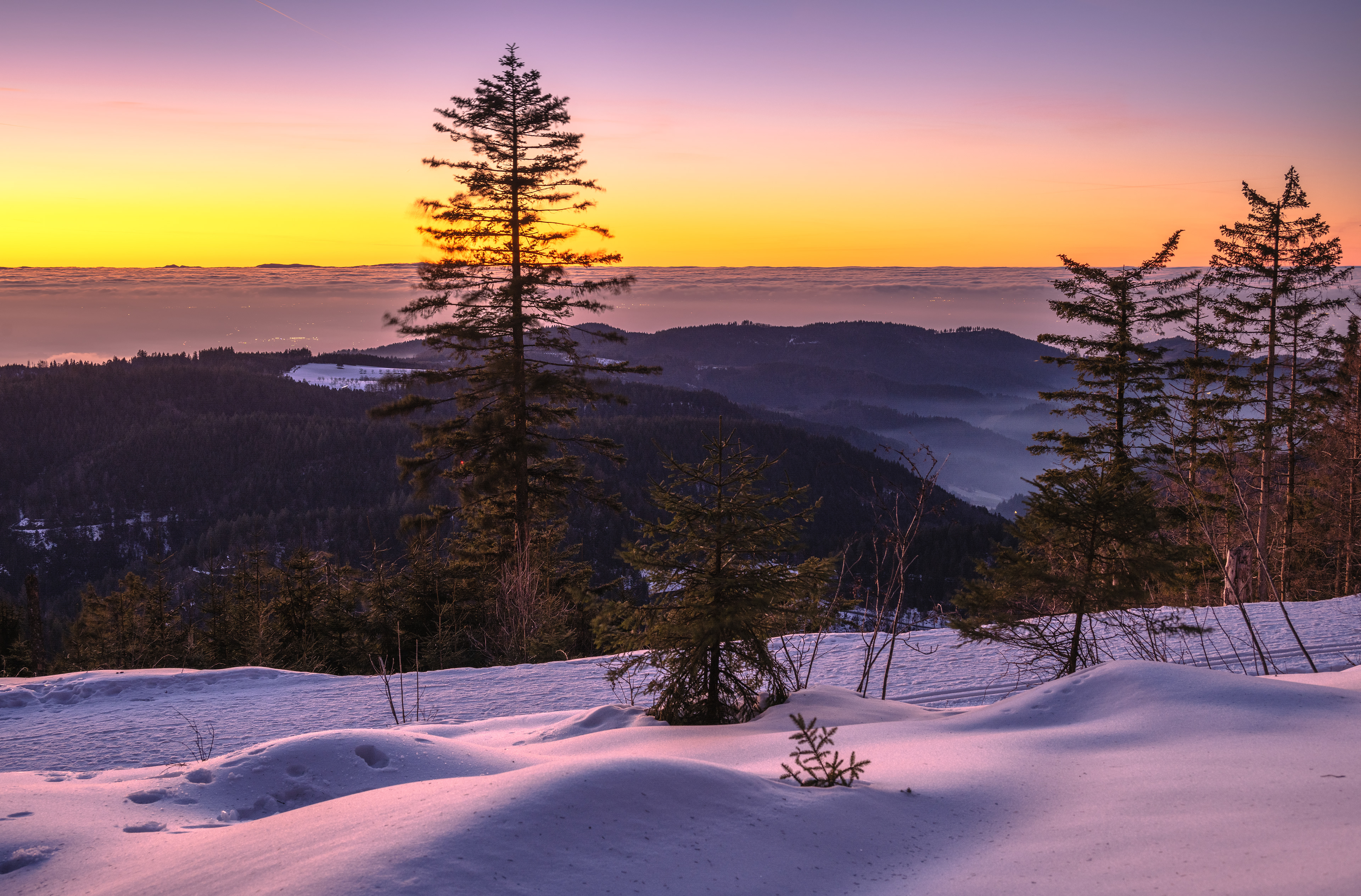 Winterlandschaft in der Abenddämmerung, Schwarzwald (D) - 18.12.2021